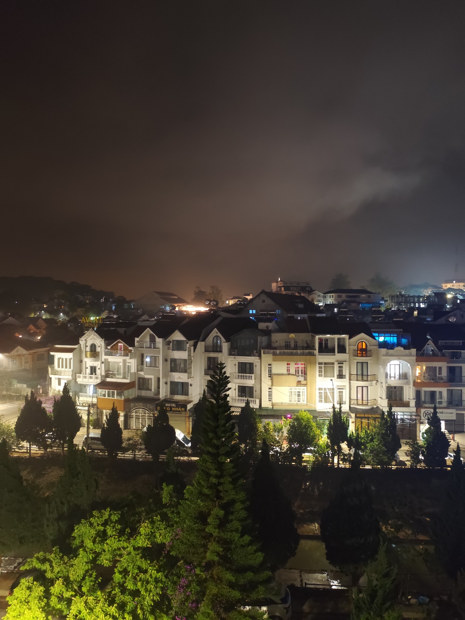 This is a nighttime aerial view of the city of Da Lat, Vietnam. The foreground features a variety of trees, including prominent coniferous trees, and dense foliage. Behind the trees are several multi-story buildings with a European architectural style. They are primarily white, with dark roofs, balconies, and various window designs. The signs "HOTEL ĐÀO NHÂN" and "AVAT HOUSE" are visible. Beyond the buildings, a hazy, dark sky obscures the background. The scene is illuminated by streetlights and lights emanating from the buildings, creating a warm glow against the dark night.