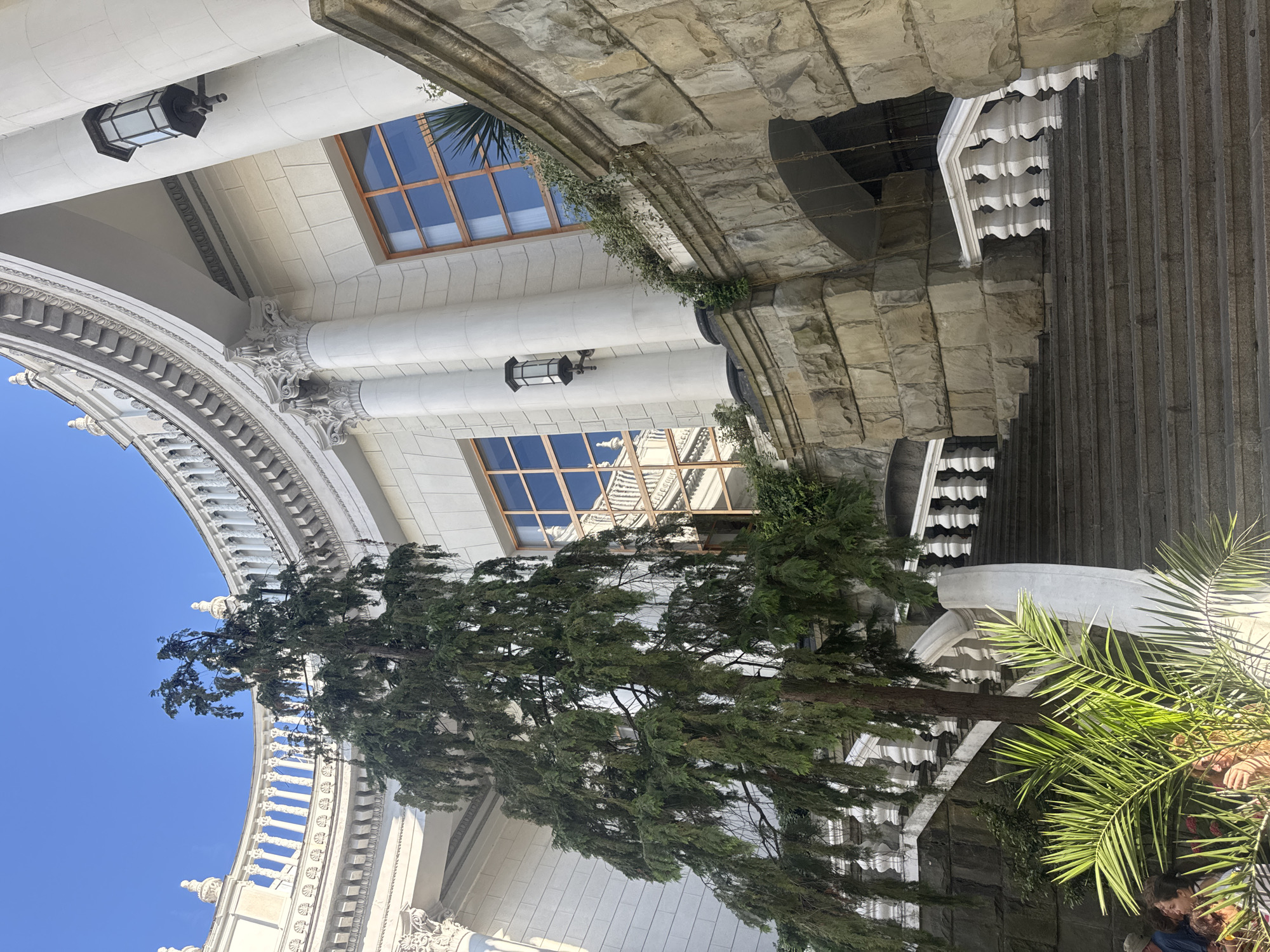 The image shows a majestic staircase and building, likely a historic architectural landmark, in the city of Sochi, Russia. The building features a grand, curved facade with white columns, intricate balustrades, and large windows with wooden frames. A tall, mature tree with weeping branches stands prominently in front of the building, partially obscuring a set of stone stairs that ascend to a higher level. The stairs are flanked by ornate white balustrades. The surrounding area is landscaped with lush green plants, including a palm frond in the foreground. The sky is a clear blue. The overall impression is one of elegance and historical significance.