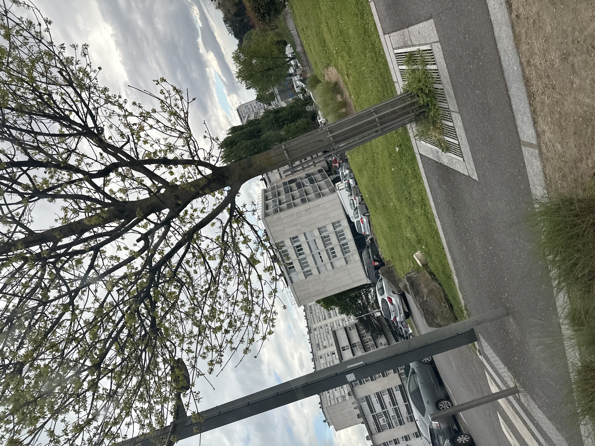 An outdoor scene features a tree with budding leaves in the left foreground, against a cloudy sky. A light-colored, multi-story apartment building is centered in the middle ground, with cars parked along the street adjacent to it. Beyond the building, a green grassy area extends toward the top of the frame. A gray metal structure (likely a pedestrian bridge or elevated walkway) crosses the scene from the bottom left to the upper right, and a section of paved road is visible to the right of the metal structure. The scene's location is possibly Sarcelles, France, based on the common architectural style of the building. The image is taken at an unusual angle (rotated orientation).