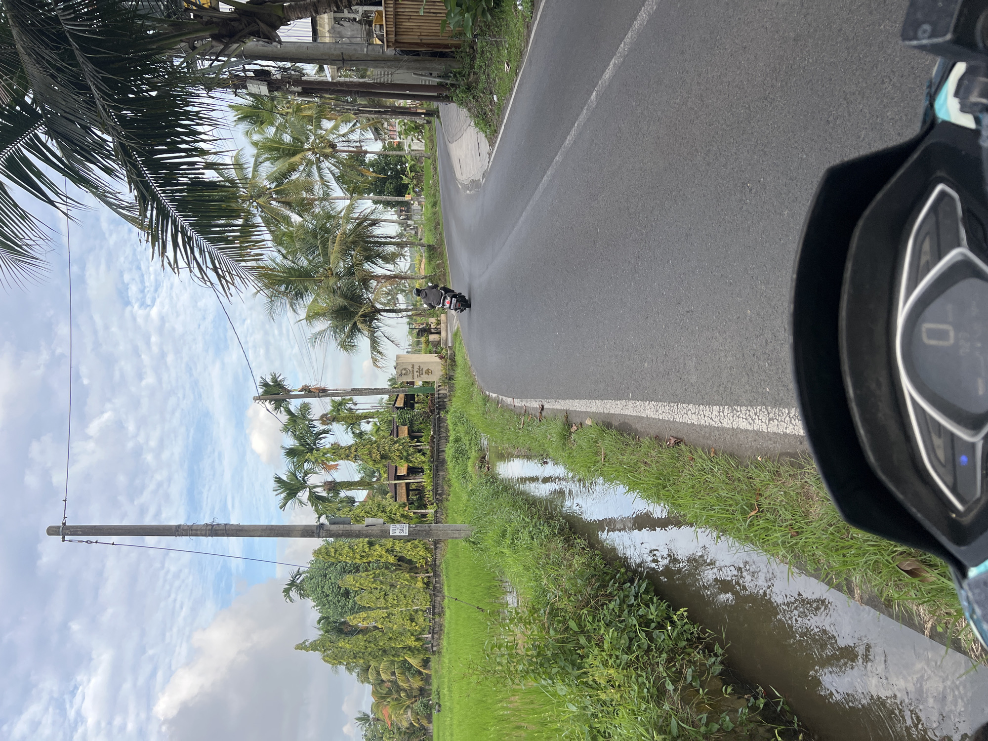 The scene captures a roadside view within the Ubud District, Indonesia, likely from the perspective of a rider on a motorcycle, indicated by the partial view of the motorcycle's dashboard in the bottom right. A paved road stretches into the distance, curving gently to the left. Another motorcycle, with a single rider, is further up the road. The roadside is marked by a water-filled ditch covered in green grass. Beyond the ditch, a lush green rice field extends, dotted with palm trees. Utility poles line the side of the road. Overhead, a cloudy sky is visible.