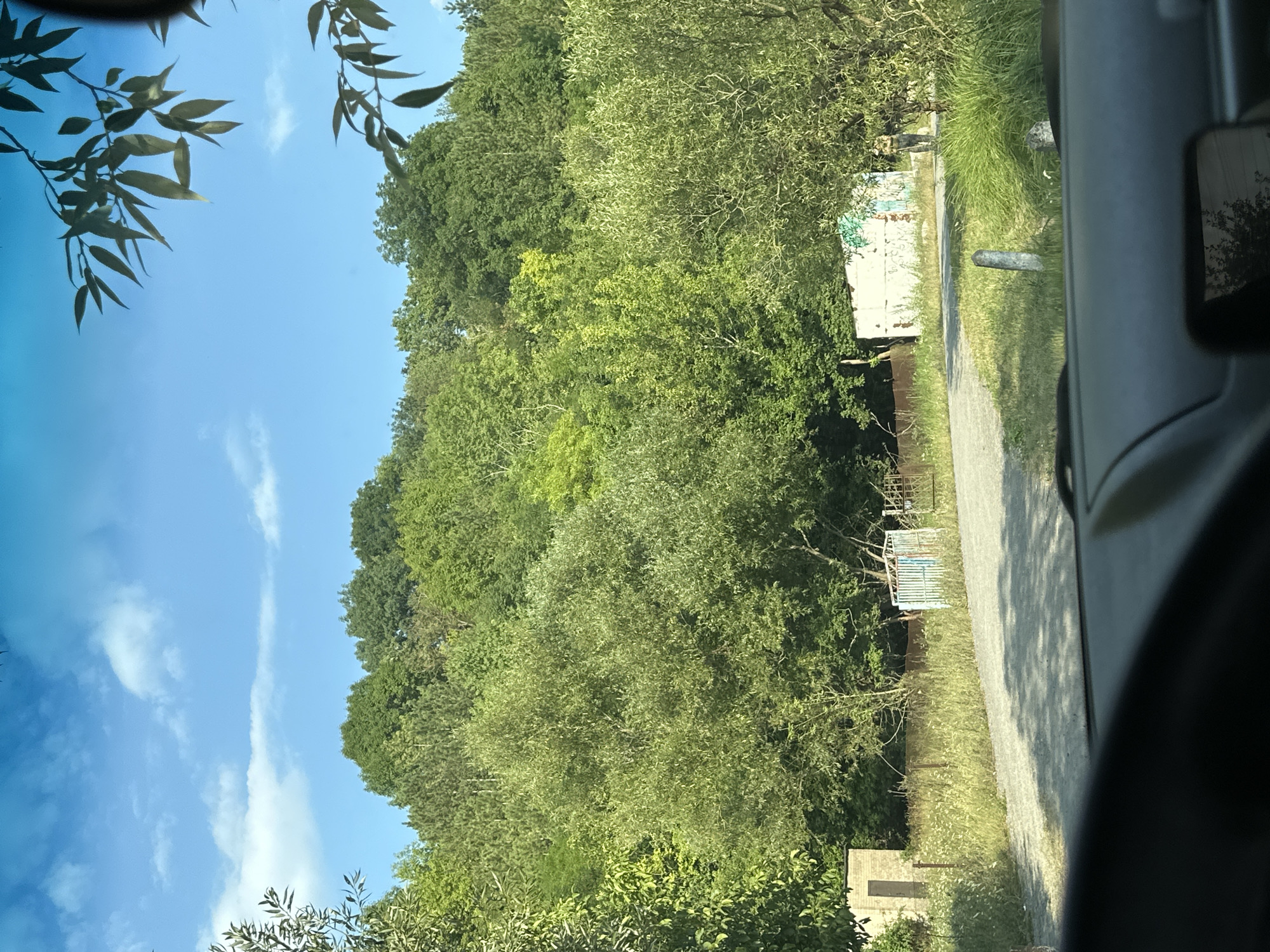The image depicts a view from inside a vehicle, looking out at a rural or semi-rural scene. In the foreground, the dashboard of the vehicle is visible, along with a portion of the windshield reflecting the trees and sky. The main focus of the image is an outdoor environment with abundant green foliage. A dirt or gravel road curves through the scene. On the left side of the road, there is a small, rectangular building with a dark door. Further down the road, on the right side, there is a structure that appears to be a white building with graffiti, and a person in camouflage clothing is standing near it. The background is dominated by a dense forest of various shades of green trees, suggesting a wooded area or a park. The sky above is blue with scattered white clouds, and branches of trees hang down from the top of the frame. The overall impression is a sunny day in a natural setting, possibly on the outskirts of a town or village. Based on the context provided, this scene is located in Makiv, Ukraine.