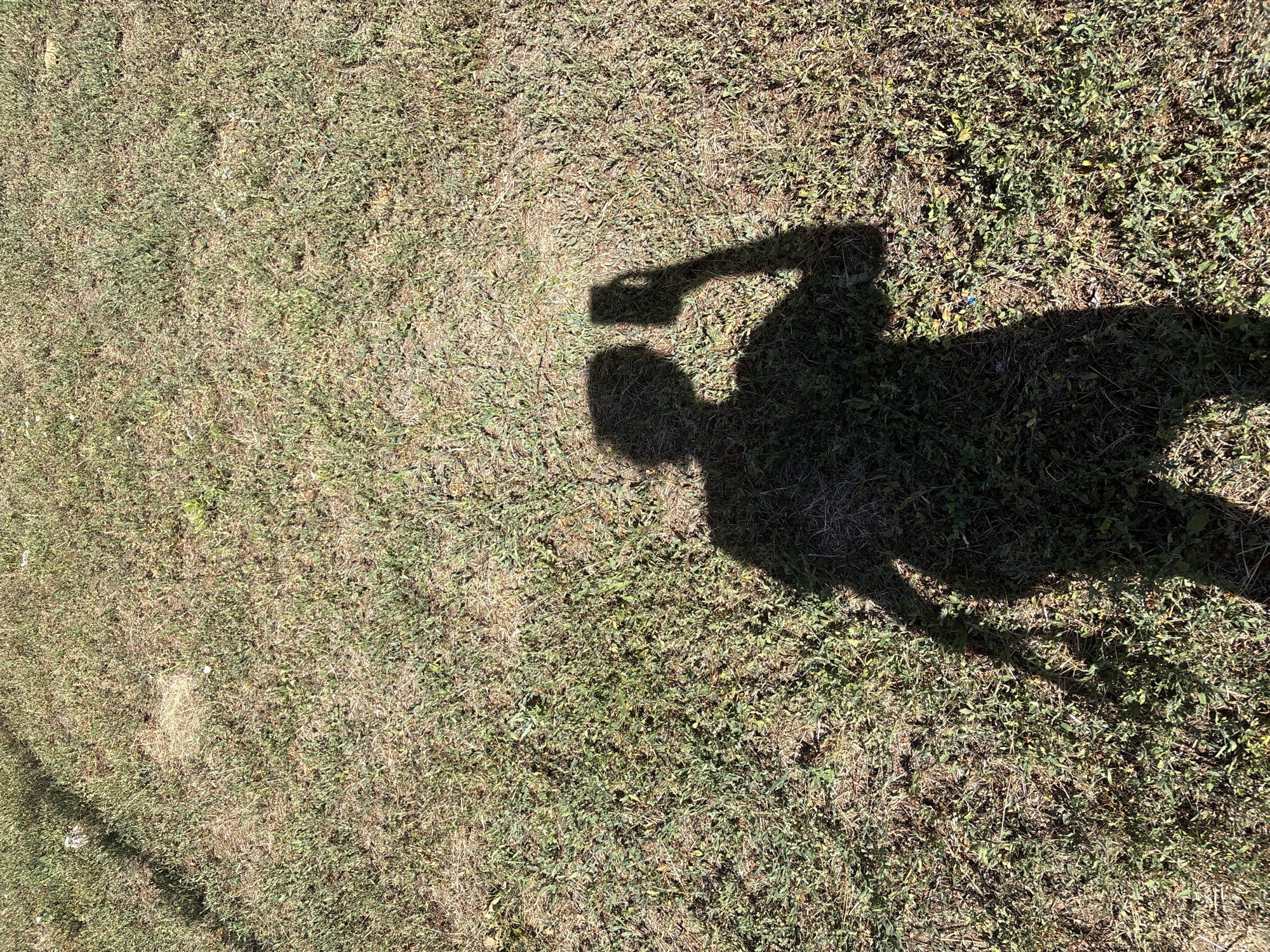 A shadow of a person taking a selfie is cast on a grassy area. The shadow is that of a person holding a phone up to take a photo. The grass is a mix of green and brown, suggesting dry or sparse conditions. The scene is lit by sunlight, creating a distinct shadow. There is no specific indication of the location being within the city of Rostov-on-Don, Russia, as the image lacks any identifying landmarks or context.