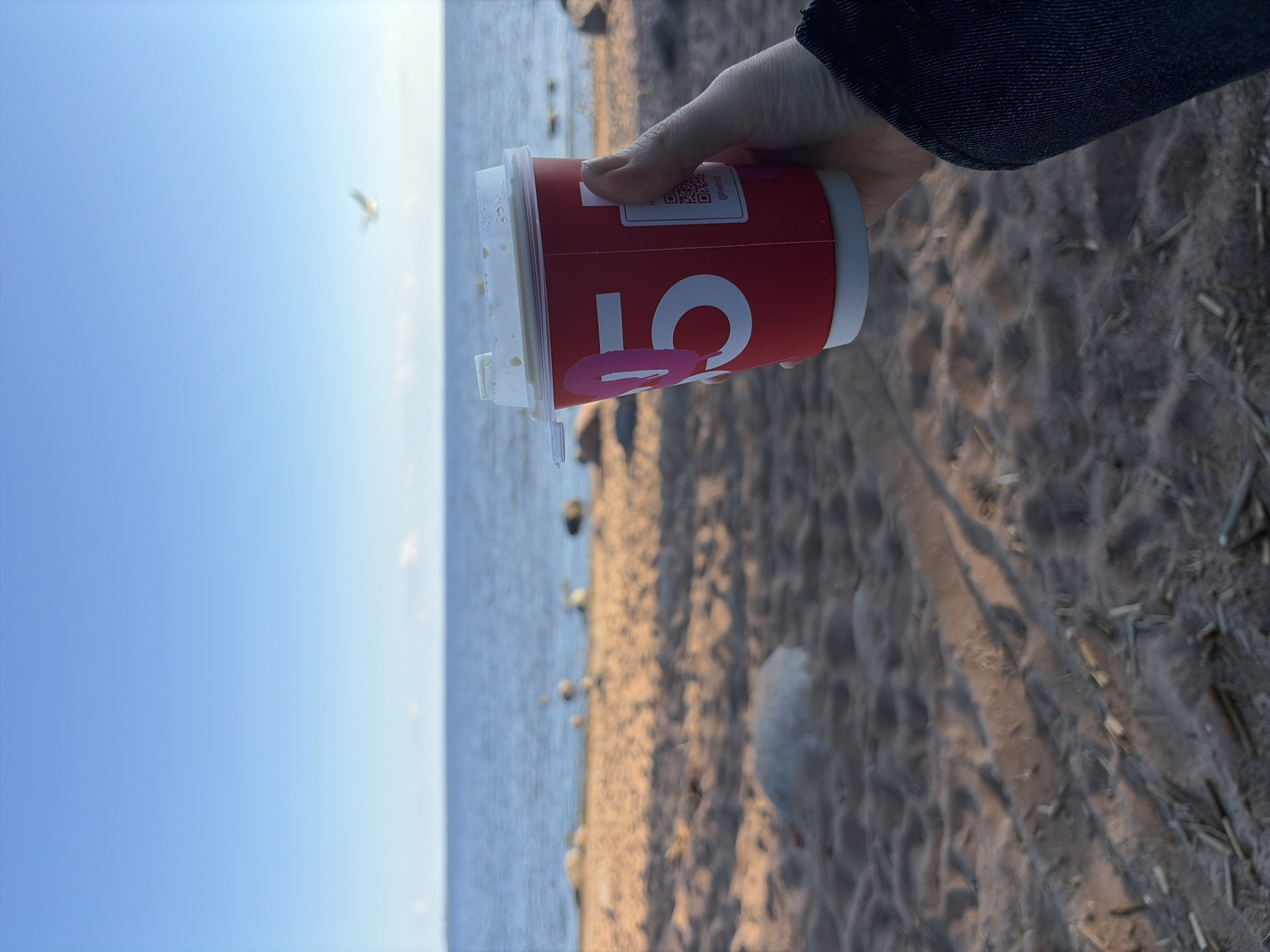 A forensic examination of the image reveals a bright, outdoor scene set on a sandy beach in Repino, Russia. In the lower right foreground, a human right hand, clad in a dark blue denim jacket sleeve, firmly grasps a red disposable coffee cup with a white lid. The cup prominently displays a white number "5" with a pink outline, along with a QR code and the handle "@tsen65". The sand in the immediate foreground is textured with undulations and features scattered pieces of light-colored debris. The midground showcases the sandy beach stretching towards a body of water, dotted with several rounded rocks. In the background, the calm, blue waters of the Gulf of Finland extend to meet a clear, light blue sky. A solitary, blurred bird is visible in flight in the upper right portion of the sky, with faint cloud formations visible near the horizon line. The scene is illuminated by natural sunlight, casting elongated shadows on the sand, consistent with either morning or late afternoon light conditions.