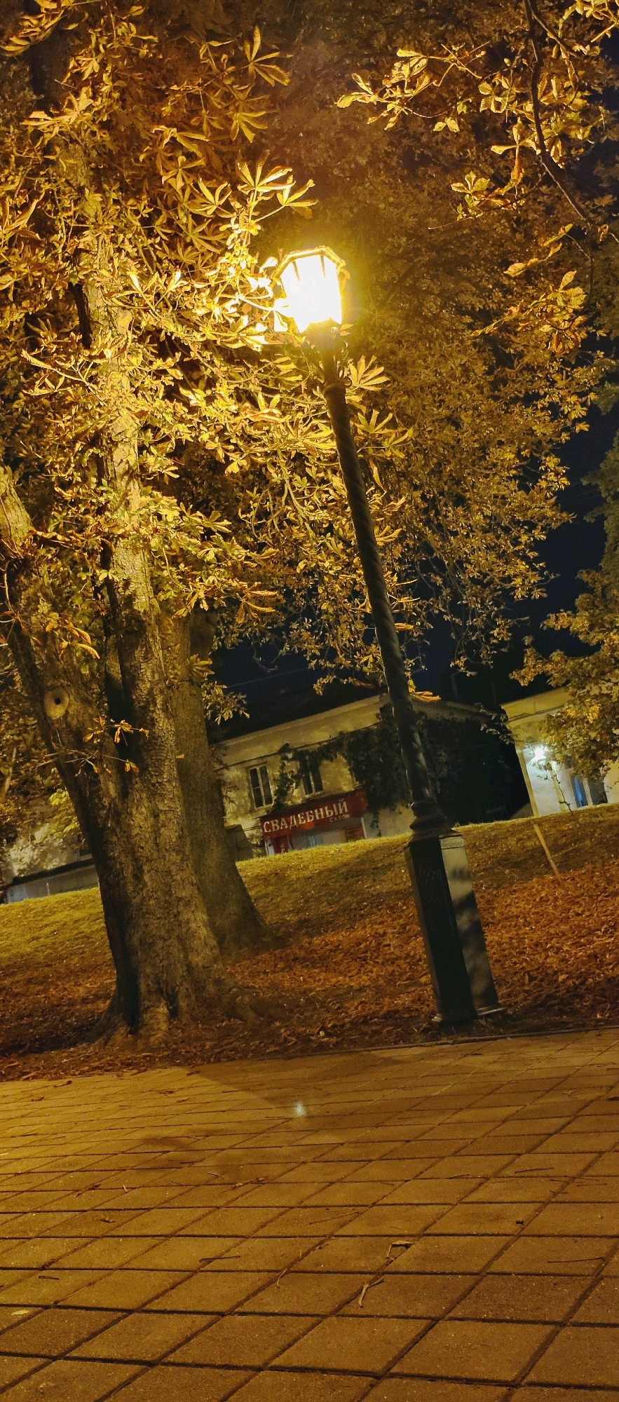 A lamppost illuminates a park pathway in Stavropol, Russia, at night. The pathway is paved with square bricks, and scattered leaves cover the ground. To the left, a large tree with yellowing leaves stands beside the path. In the background, a building with ivy climbing its walls is visible, with a red sign displaying the Russian word "СВАДЕБНЫЙ" (Wedding). The scene is lit by the warm glow of the lamppost, creating a serene autumnal atmosphere.