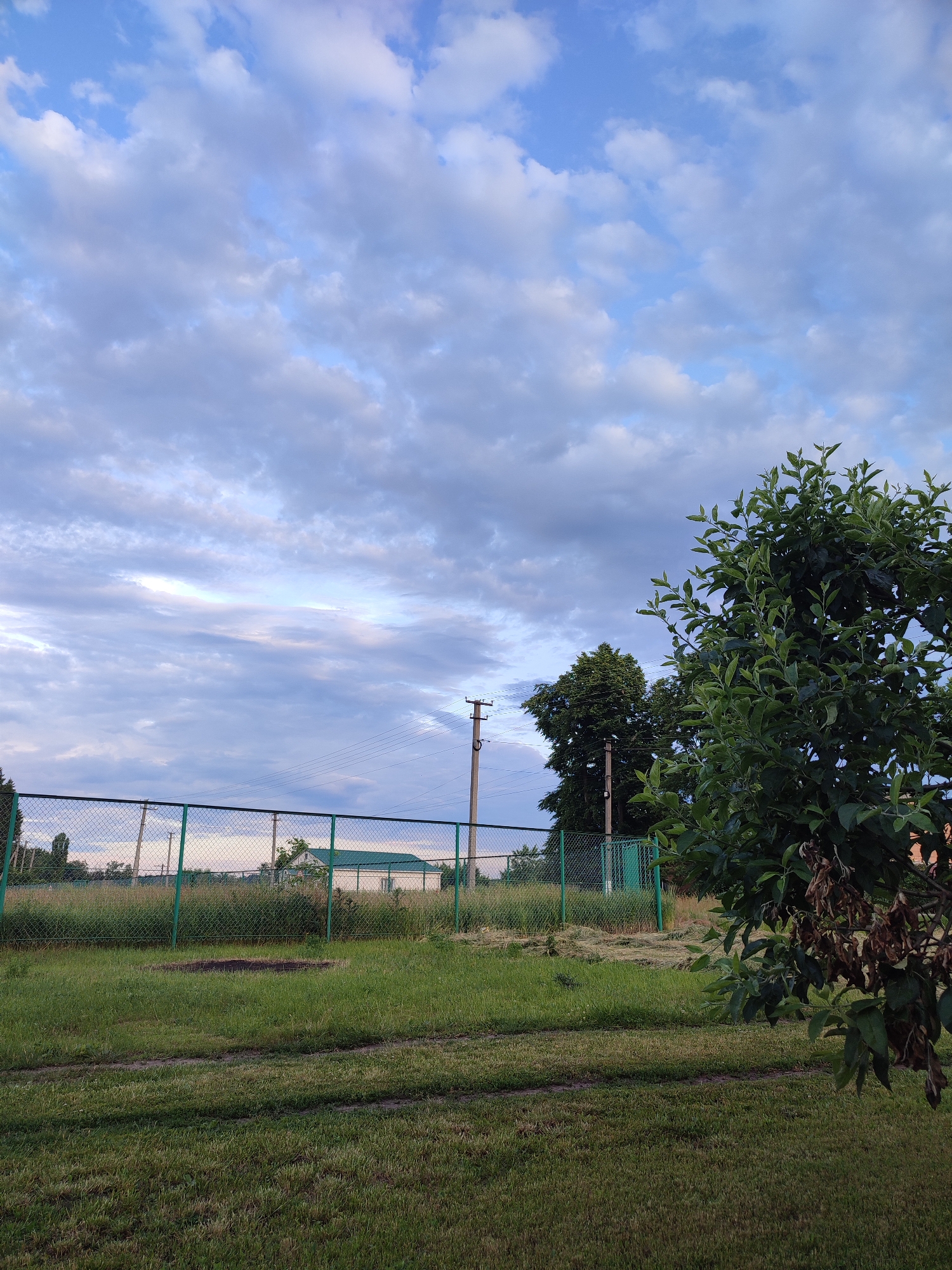 A wide shot captures a rural landscape in Voskobiinyky, Ukraine, under a partly cloudy sky. A chain-link fence with green posts runs horizontally across the mid-ground, separating a grassy yard from a field of tall, dry grass. Beyond the fence, a light-colored building with a green roof is partially visible. Two utility poles stand in the distance, one with visible wires. In the foreground, a well-maintained lawn is cut, with tire tracks indicating recent activity. To the right, a large, leafy green tree with some dried brown leaves dominates the frame. The overall scene suggests a serene, possibly late afternoon setting.