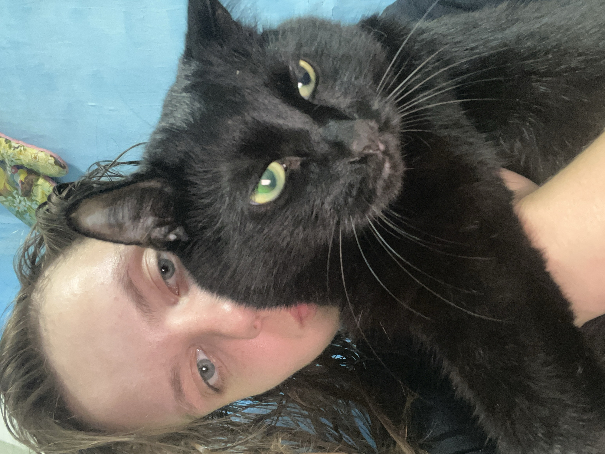 The media file is a close-up, self-taken photograph of a person and a black cat. The person, whose face is partially visible and angled towards the camera, has light-colored eyes and brown hair. They appear to be holding the cat, which is also looking towards the camera with striking green eyes. The cat's fur is predominantly black, with white whiskers. The background is a solid, light blue color, suggesting an indoor setting. A small, patterned object, possibly a blanket or pillow, is visible in the upper left corner. The lighting suggests it is daytime, but there are no specific indicators of the time or weather. The interaction between the person and the cat conveys a sense of closeness and affection. No text is visible in the image. The location context provided is Nizhny Tagil, Russia.