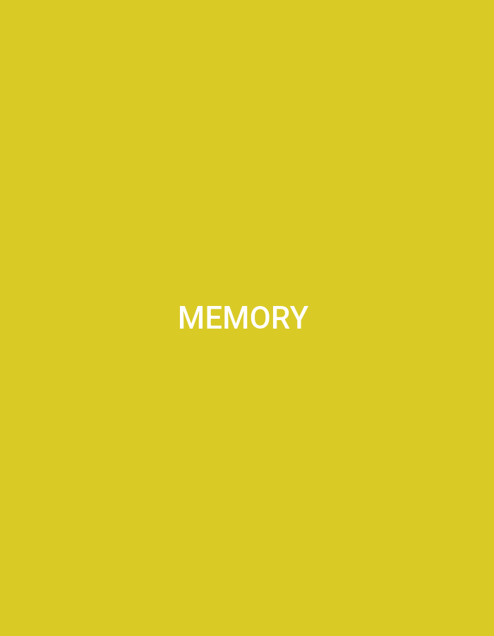 Memory