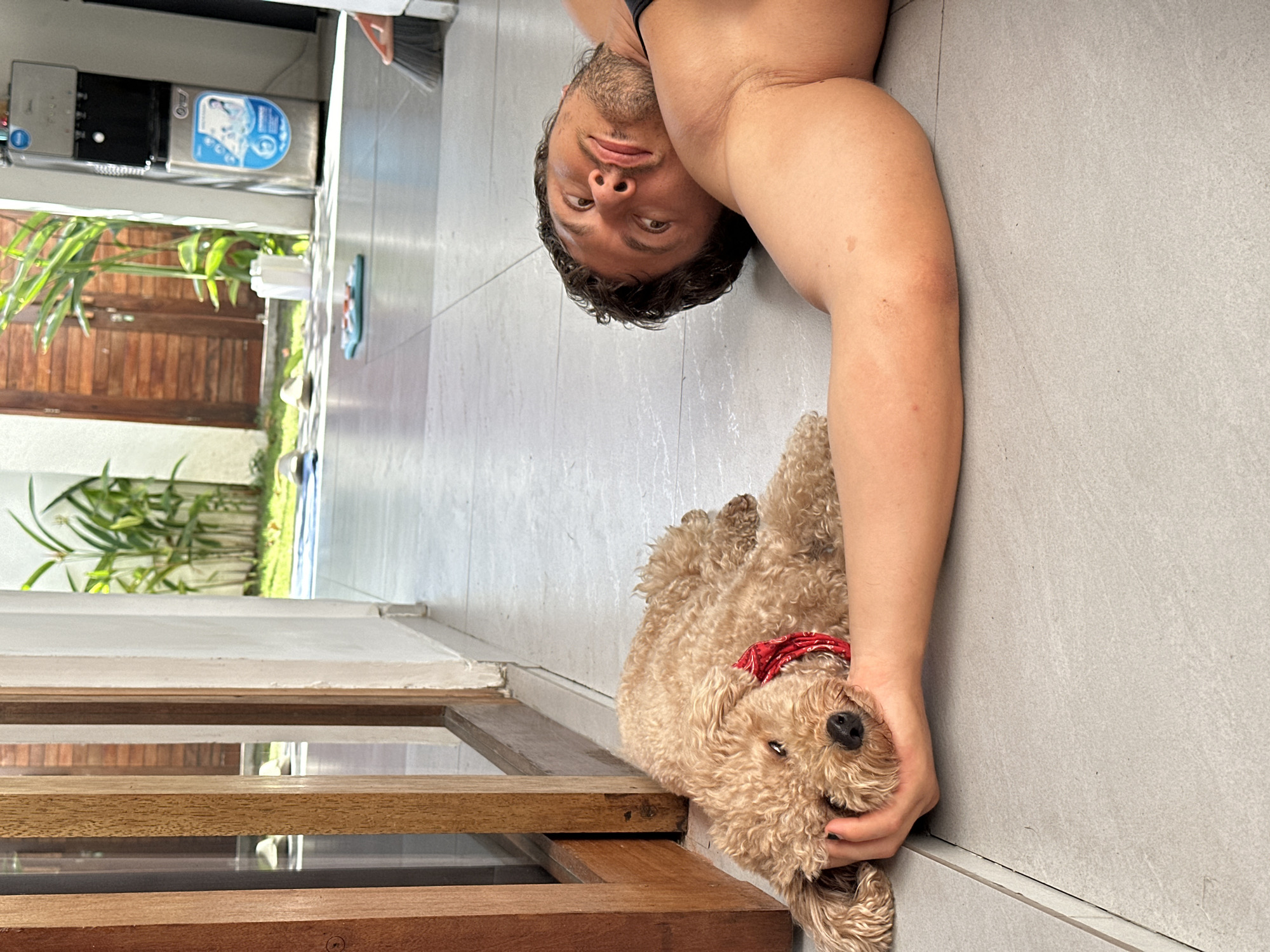 The media file, captured in North Kuta, Indonesia, depicts a man and a dog in a relaxed indoor/outdoor setting during daytime. The image is oriented sideways, with the man and dog appearing on a vertical plane.
The primary subjects are a man and a light brown, curly-haired dog, possibly a Poodle or Goldendoodle. The man, with short, dark, curly hair and a beard, is lying on his back on a light grey tiled floor, looking directly at the camera with a calm expression. He is wearing a dark top, visible on his shoulder. His arm extends towards the dog, gently petting its head. The dog, wearing a red patterned bandana around its neck, is also lying on the floor next to the man, facing away from the camera but looking towards the man's hand.
The setting appears to be a semi-open area or a covered patio with light grey tiled flooring. In the background, to the left, a dark brown wooden slatted structure or fence is visible, with lush green plants behind it, suggesting an outdoor garden area beyond. To the right, a silver water dispenser with a blue circular label (text unreadable) and a small blue mat on the floor are present. A broom handle can also be seen leaning against a wall in the upper left background. The overall atmosphere is tranquil and affectionate.