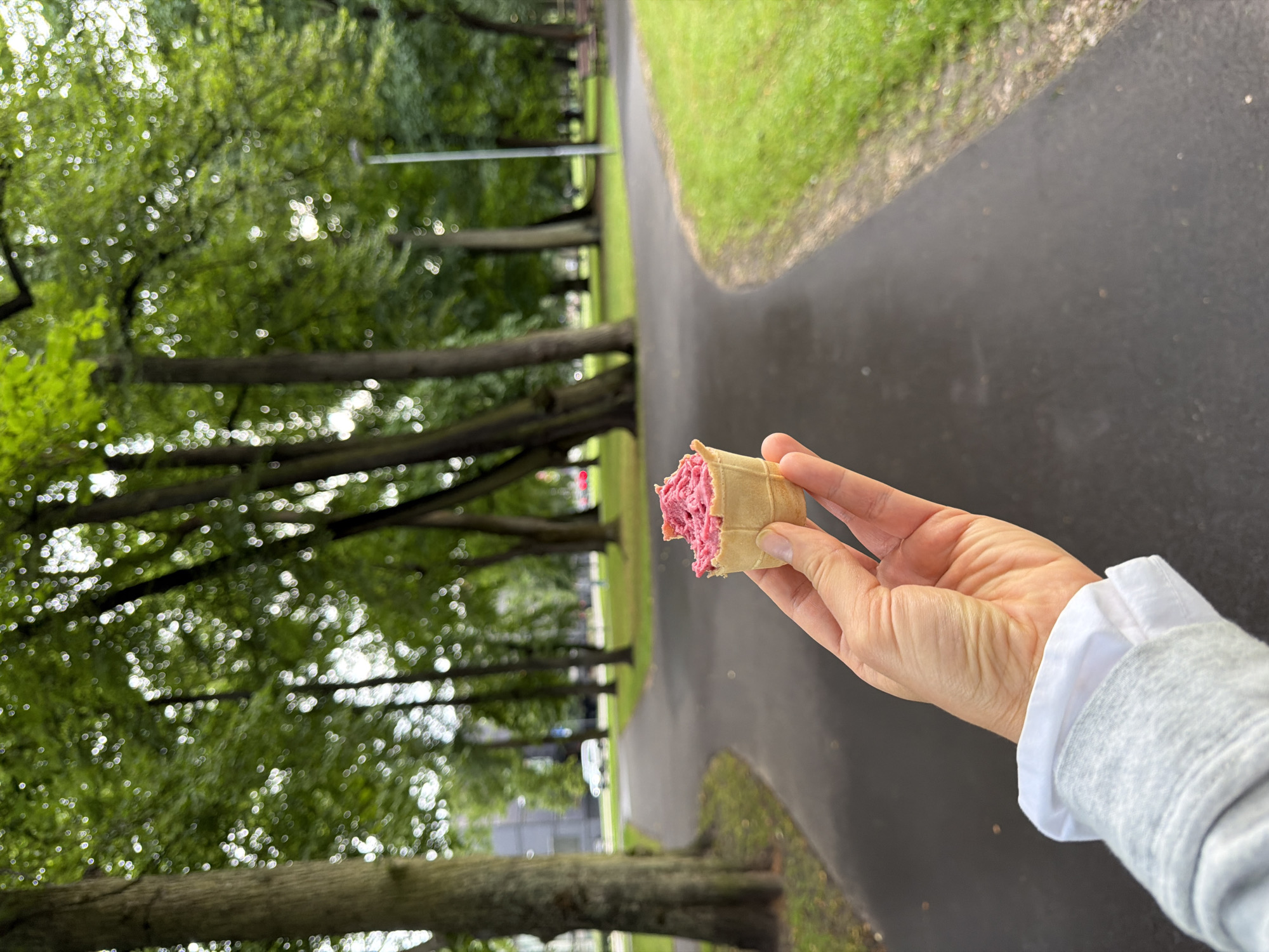 A hand holds a small, pink ice cream cone in a park. The ice cream appears to be a sorbet or sherbet, with visible texture. The cone is a light brown waffle cone. The background shows a paved path curving through a park with lush green trees and grass. In the distance, a white car is visible on a road, and park benches can be seen. The overall impression is a pleasant day outdoors. The scene is in Riga, Latvia, specifically in Viesturdārzs Park.