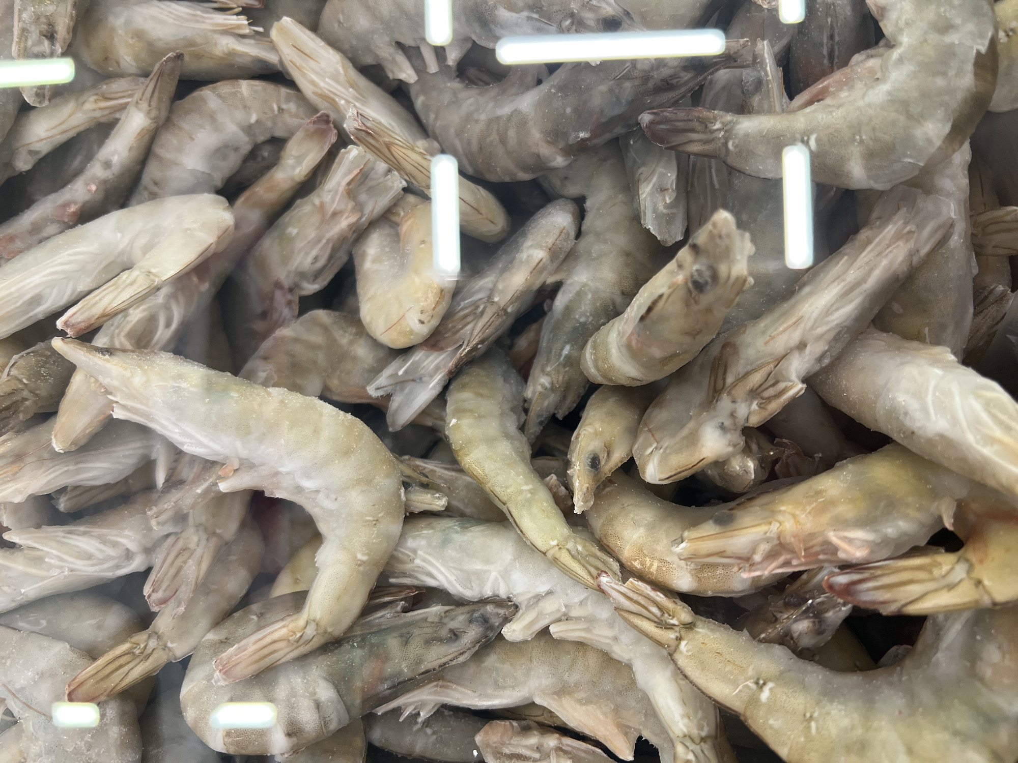 A close-up, overhead shot shows a pile of frozen, uncooked shrimp. The shrimp are a pale white and grey color, with some showing hints of pink and brown. They are arranged in a dense, overlapping pile, with their tails and heads pointing in various directions. The shrimp appear to be shell-on and unpeeled, and some have a thin layer of ice on their surface. The lighting in the image suggests they are in a display case with bright overhead lights, possibly in a grocery store or seafood market. The background is dark and out of focus, drawing all attention to the shrimp. There are no people or animals visible in the image. The location is not specified.