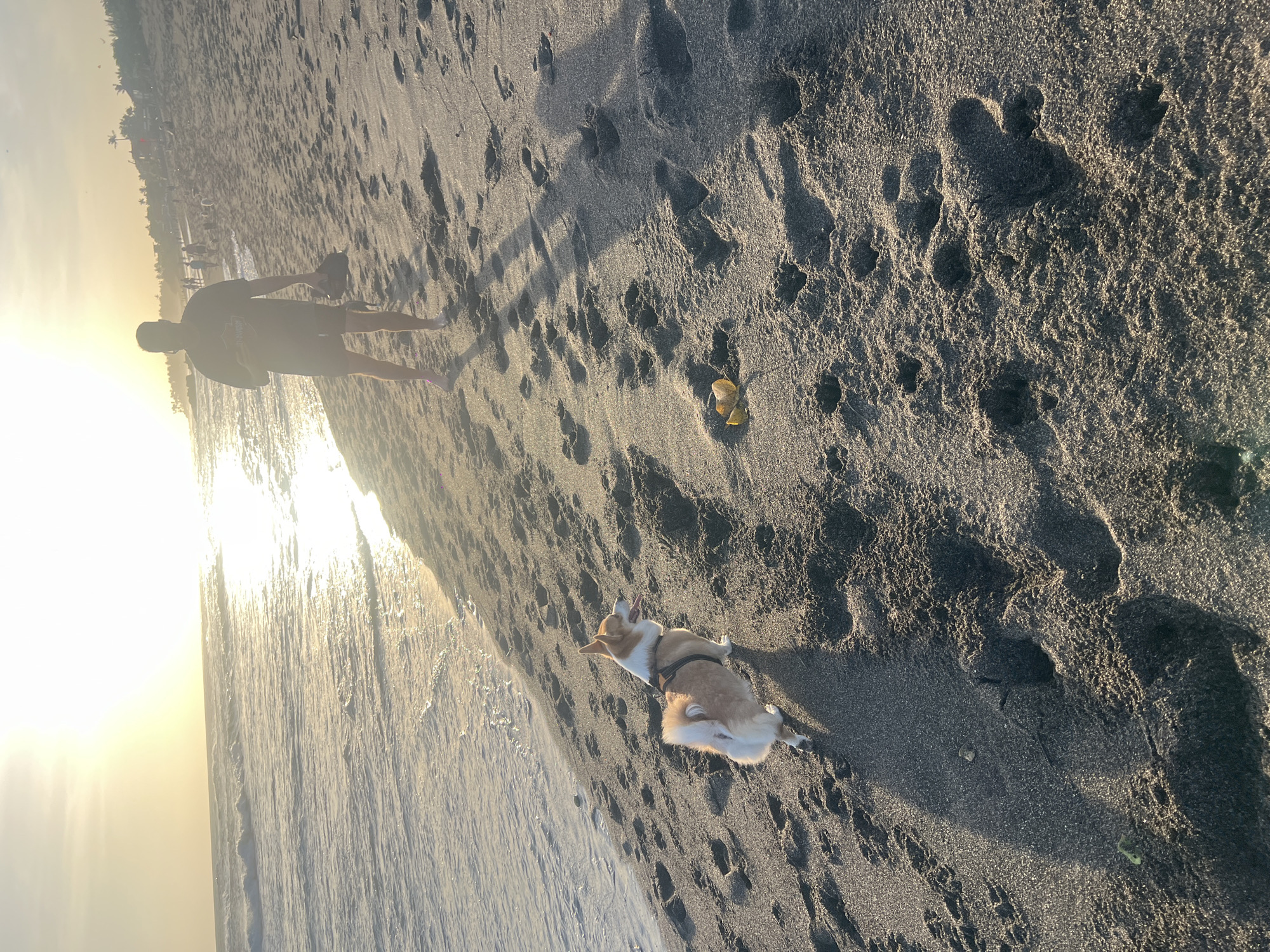 Location: Mengwi, Indonesia. A man is standing on a dark-sand beach near the water’s edge, with a dog lying on the sand closer to the viewer. The dog is tan and white, wearing a harness. A yellow object, potentially a piece of trash, sits on the sand near the man. There are footprints in the sand. The sun is near the horizon, creating a bright reflection on the water.