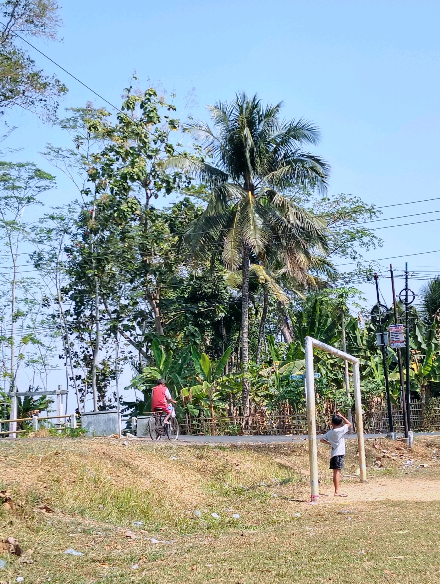 In Tipar, Indonesia, on a sunlit day, a person wearing a red vest and blue shorts cycles away from the viewer on a paved road. Beside the road, a young boy stands looking up, his right hand on his hip and his left arm raised to his forehead, near a metal goalpost. The background is filled with lush green vegetation, including banana trees and tall trees, with power lines crisscrossing the clear blue sky. The ground in the foreground is covered with dry grass and some scattered debris.