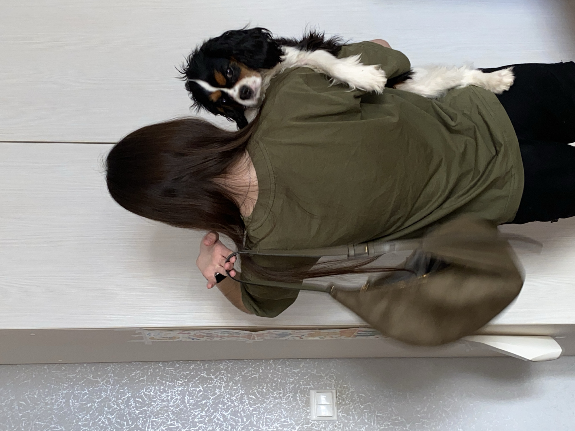 A woman is standing indoors with a Cavalier King Charles Spaniel dog perched on her back. She is wearing an olive green t-shirt and black pants. She has long, dark hair. She is holding the strap of a brown shoulder bag. The background includes a white wall. The location is Votkinsk, Russia.