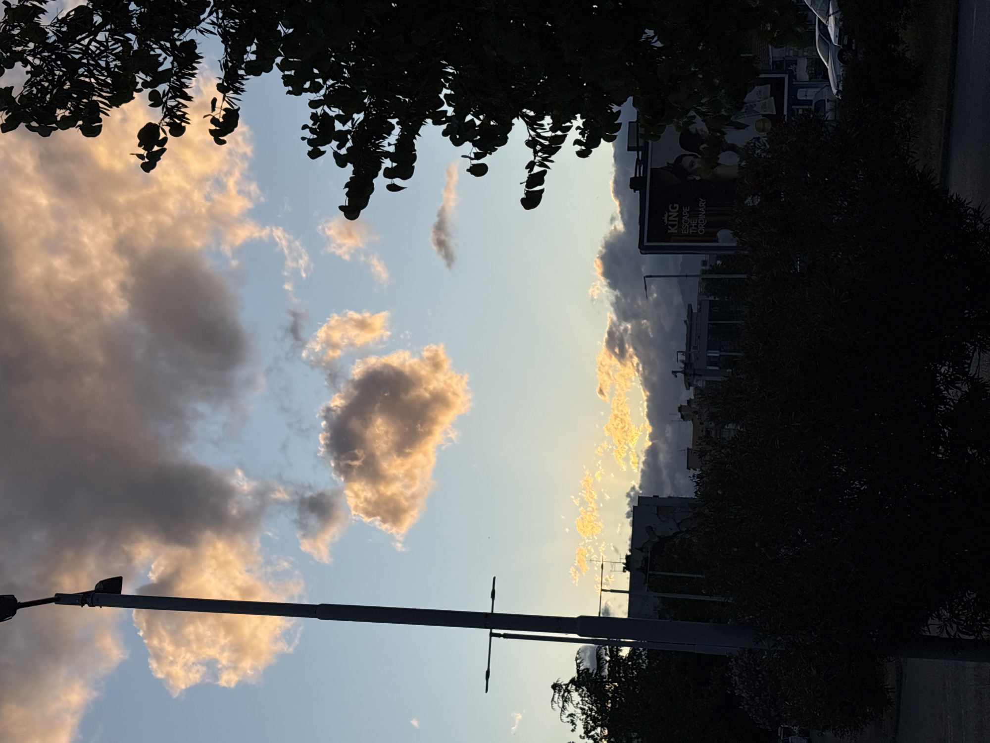 The image depicts a cityscape at sunset, with clouds illuminated by the setting sun. Silhouetted trees frame the top and right of the image. A street lamp post is prominently featured on the left. In the distance, buildings are visible, including a billboard advertising "KING ESCAPE THE ORDINARY". The scene appears to be in Podgorica, Montenegro.