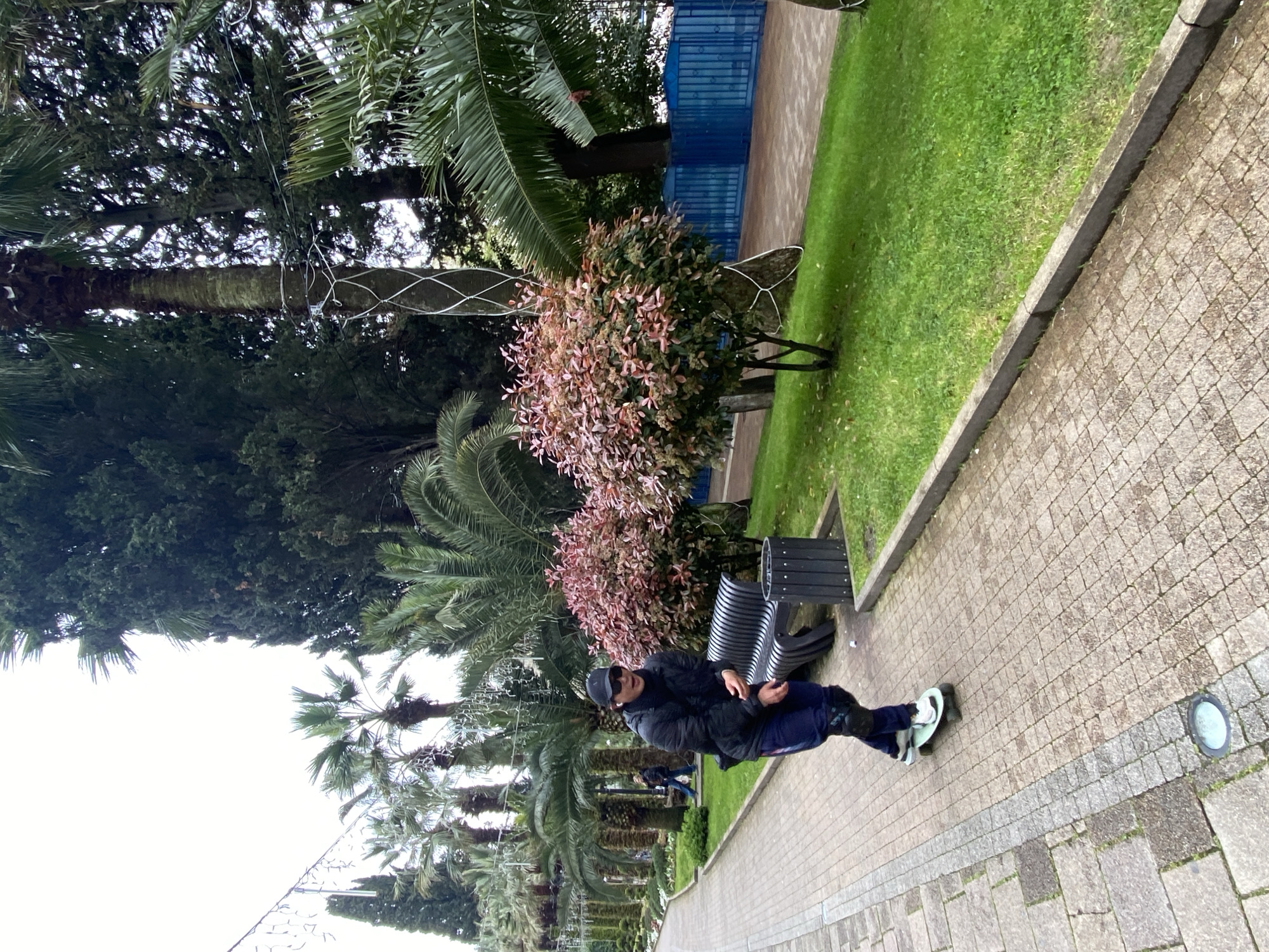 A man sits on a park bench in Sochi, Russia. The park has palm trees, neatly trimmed grass, a paved path, and small trees that have been trimmed. The man is wearing a black cap, jacket, and sunglasses. He is holding a mobile phone in his hands. The area is mostly cloudy and overcast.