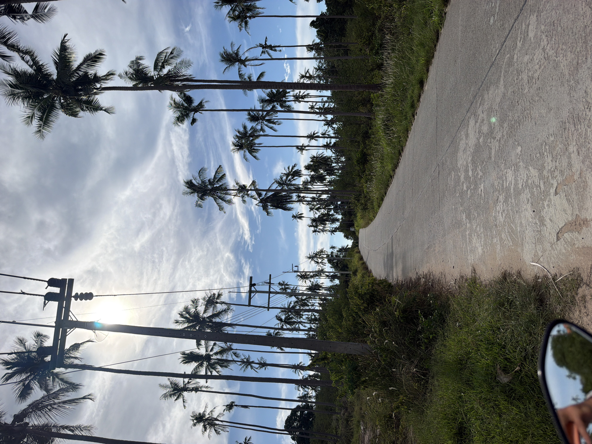 The image depicts a paved road winding through a dense grove of tall palm trees in Baan Tai, Thailand. The road is empty, with no vehicles or people visible on it. Overhead, telephone poles with wires crisscross the sky, and the sun shines brightly through the clouds, creating a lens flare effect in the upper left quadrant of the image. The vegetation along the roadside is lush and green, with tall grasses and thick foliage. The overall scene conveys a sense of tropical serenity and isolation. The reflection in the lower left corner suggests the photo was taken from a moving vehicle, possibly a motorbike, as a hand and part of a helmet can be seen.
