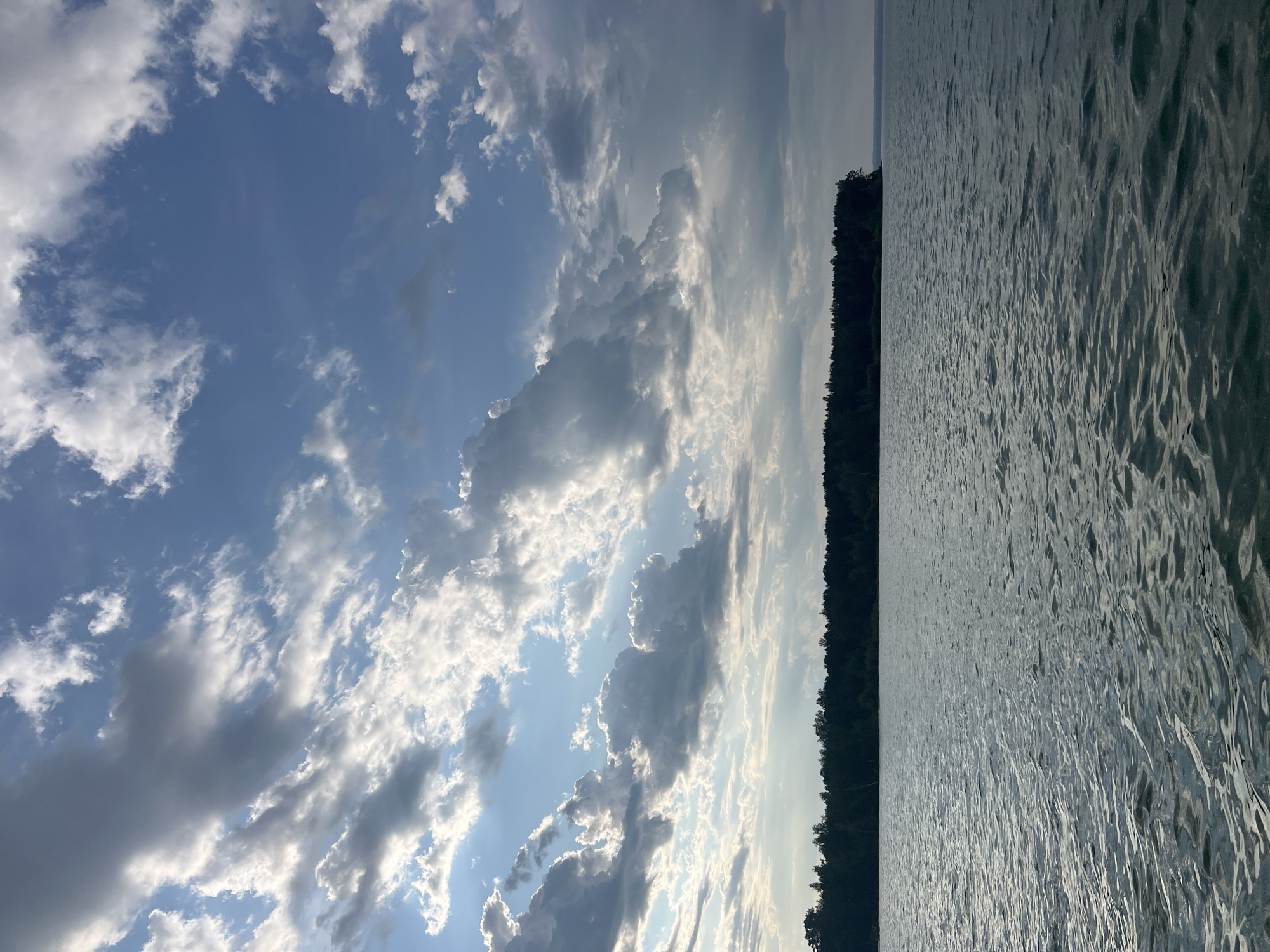 The image depicts a serene natural landscape, likely a waterfront scene. The foreground is dominated by a body of water with gentle ripples, reflecting the sky above. In the middle ground, a dense, dark green treeline stretches across the horizon, suggesting a forest or wooded area. The background is a vast sky filled with dramatic, billowy clouds. Sunlight breaks through in places, illuminating the clouds and casting a soft glow. The overall impression is one of natural beauty and tranquility. The location is identified as the city of Borovoe, Russia.