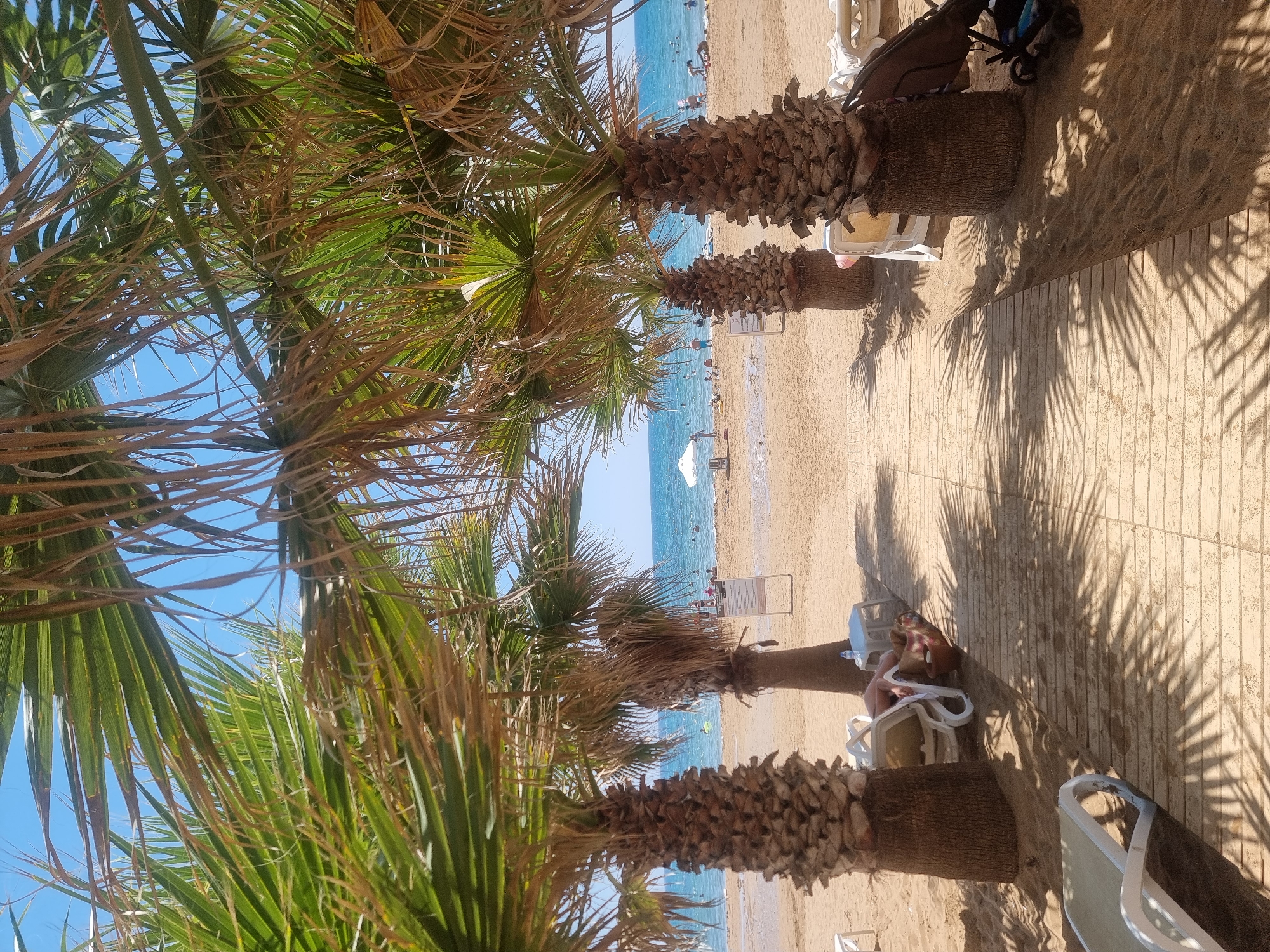 This image captures a sunny beach scene in Manavgat, Turkey, framed by the fronds of several palm trees. A wooden walkway extends from the foreground, leading towards the sandy beach where lounge chairs are set up. In the distance, the turquoise waters of the sea are visible, dotted with people swimming and enjoying the water. A white umbrella provides shade on the beach, and several individuals are present, some relaxing on chairs and others walking along the shoreline. The overall atmosphere is one of a relaxed, idyllic beach vacation.