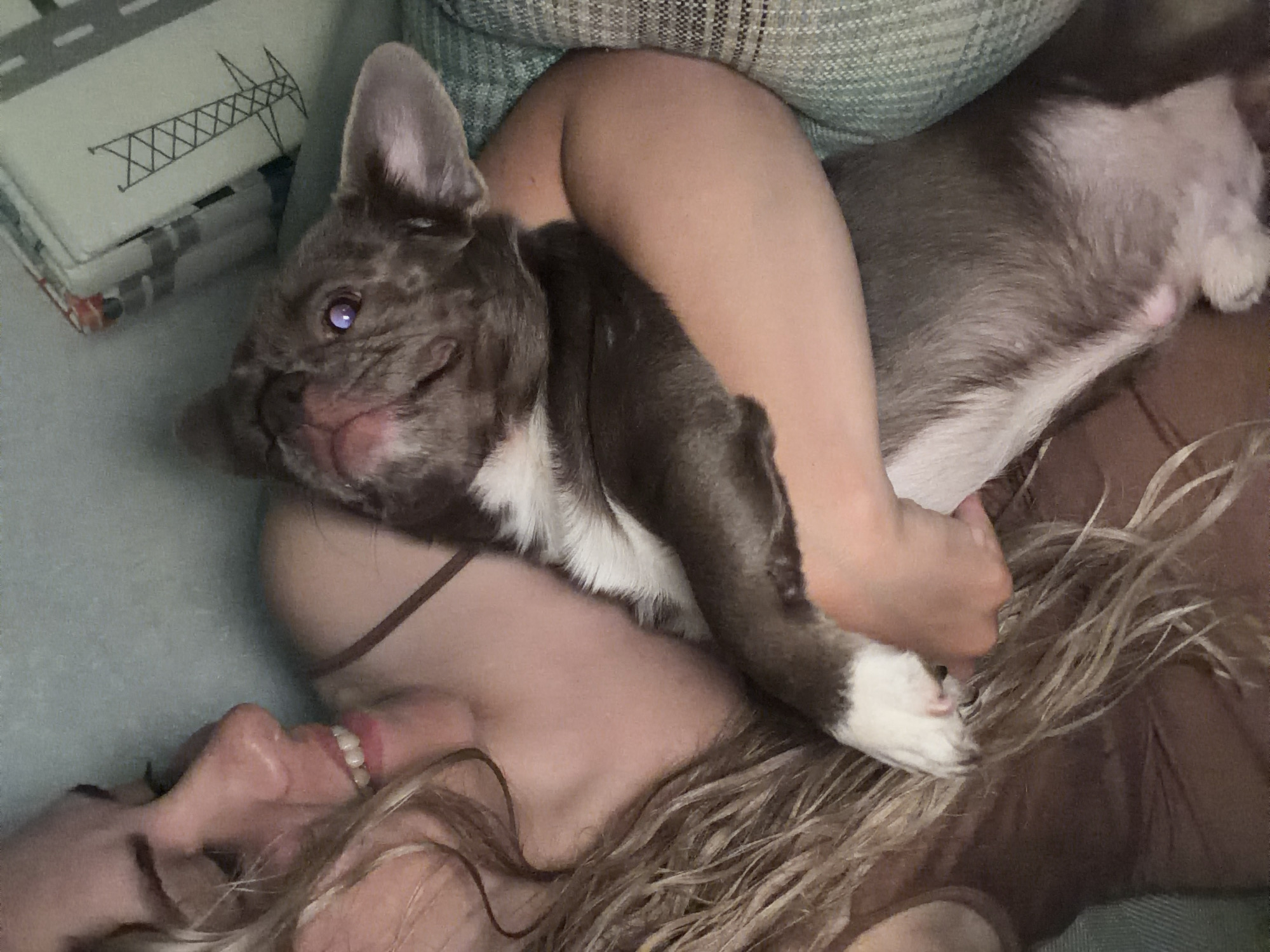 A woman with long blonde hair is lying on her back, smiling with her eyes closed. A grey and white French Bulldog is lying on top of her chest, with its head resting on her face. The dog is looking at the camera with one eye open. The woman is wearing a brown tank top. There is a pillow with a design on it behind the woman's head. The background is a light blue color. There is no indication of location in Votkinsk, Russia in the image.
