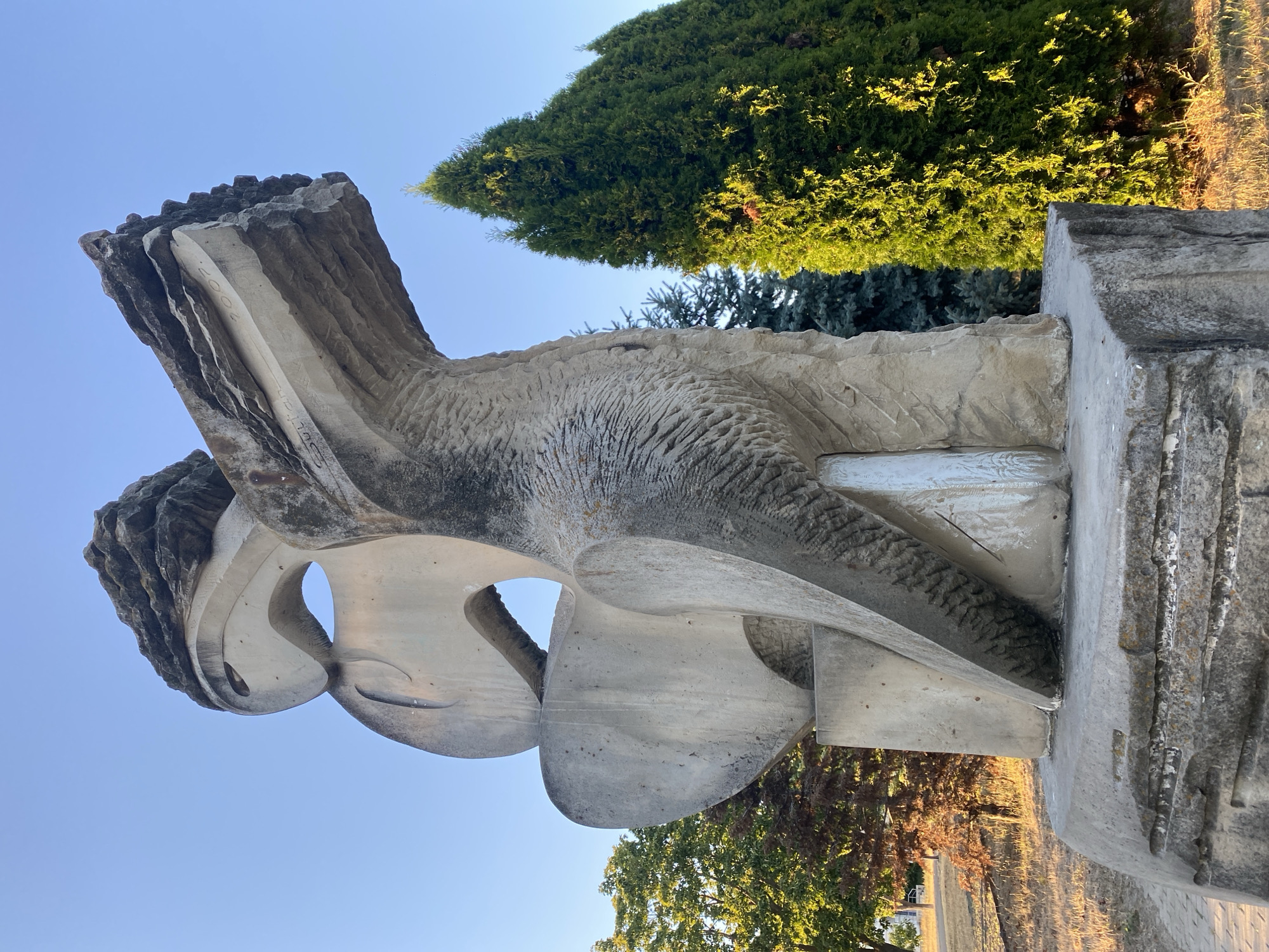 This image shows a large, abstract concrete sculpture located outdoors, likely in a park or public space in Chișinău, Moldova. The sculpture is textured and carved, with flowing, organic shapes. It appears to be made of multiple sections, with one large section having a rough, carved texture, and another section appearing smoother with carved details. There is writing visible on a flat surface of the sculpture, including the number "2007".
The sculpture is set against a clear blue sky. To the right of the sculpture, there are several tall, conical evergreen trees that are brightly lit by sunlight. In the background, to the left, there are deciduous trees with green and some reddish-brown foliage, and further back, a building is partially visible. The ground around the sculpture is covered in dry grass and a paved walkway is visible in the lower left corner. The overall impression is one of a public art installation in an urban green space.