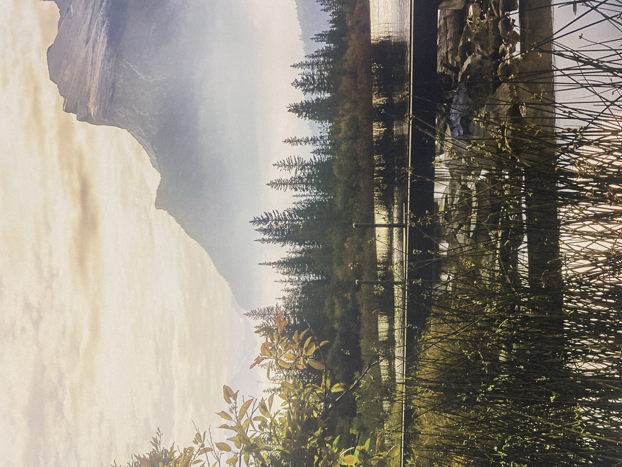 The image depicts a serene landscape scene with a prominent mountain peak in the background, partially obscured by mist. In the middle ground, a dense forest of evergreen trees lines the shore of a body of water, likely a lake or river. The water reflects the surrounding foliage and the soft, hazy light of the sky. In the foreground, tall reeds and grasses grow along the water's edge, creating a natural barrier. A dark, horizontal structure, possibly a bridge or boardwalk, spans across the water. The overall atmosphere is tranquil and natural, suggesting a remote and untouched environment. There are no visible people or animals in the image. The location in the city of Rozhny, Ukraine is not evident from the visual information provided in the image.