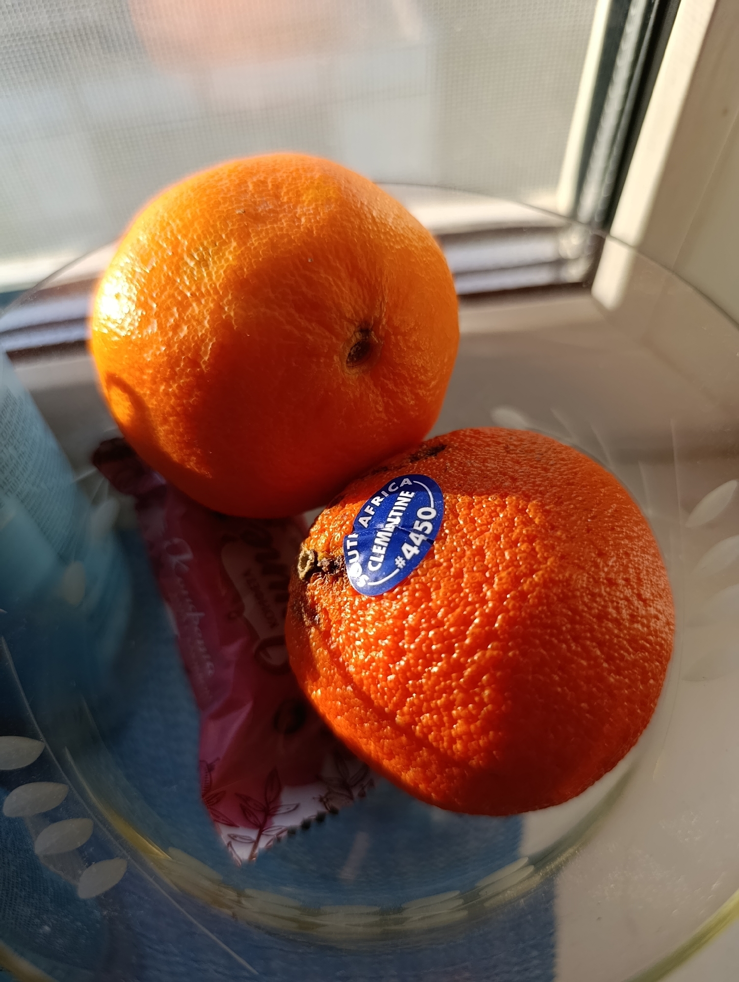 The image shows two tangerines in a clear glass bowl. One tangerine is larger and positioned towards the top left of the frame, while a smaller tangerine with a sticker is in the foreground, to the right. The sticker on the smaller tangerine reads "SOUTH AFRICA CLEMENTINE #4450". The tangerines are resting on a blue and white patterned cloth within the bowl. A portion of a pink and red wrapper, possibly for a candy bar, is visible beneath the tangerines. The background is out of focus, showing what appears to be a window with natural light casting shadows and highlights on the scene. The lighting suggests it is daytime, possibly late afternoon due to the warm tones and strong shadows. There are no people or animals in the image. The scene appears to be indoors. There is no discernible information in the image that can identify its location in Alexandrov, Russia.