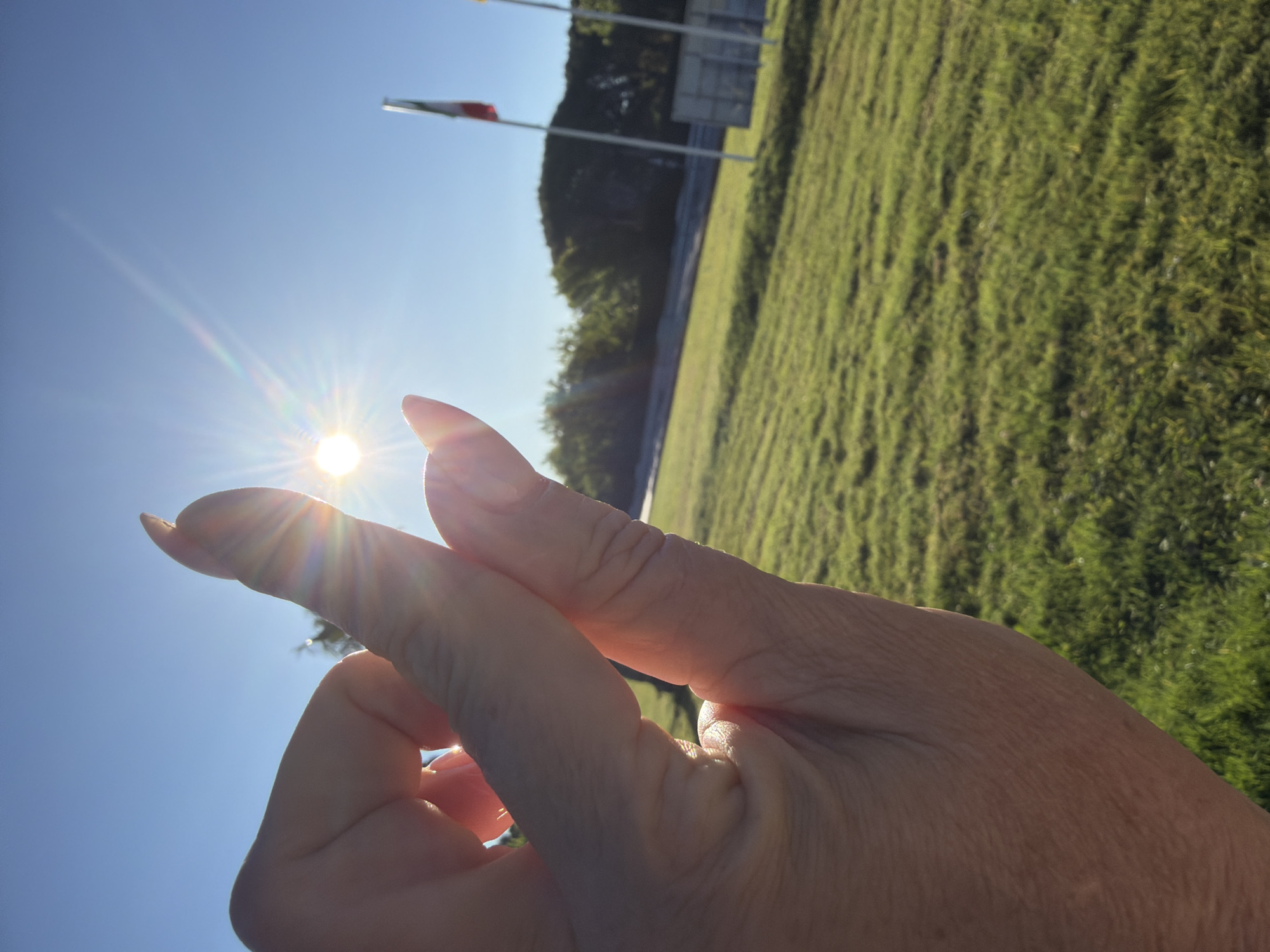 The photograph captures a hand in the foreground obscuring the sun in the sky, a scene with a grassy field and some trees in the background. A pole with flags is visible in the distance. Given the location of Mont-roig del Camp, Spain, it is likely that the flags are Spanish or Catalan.