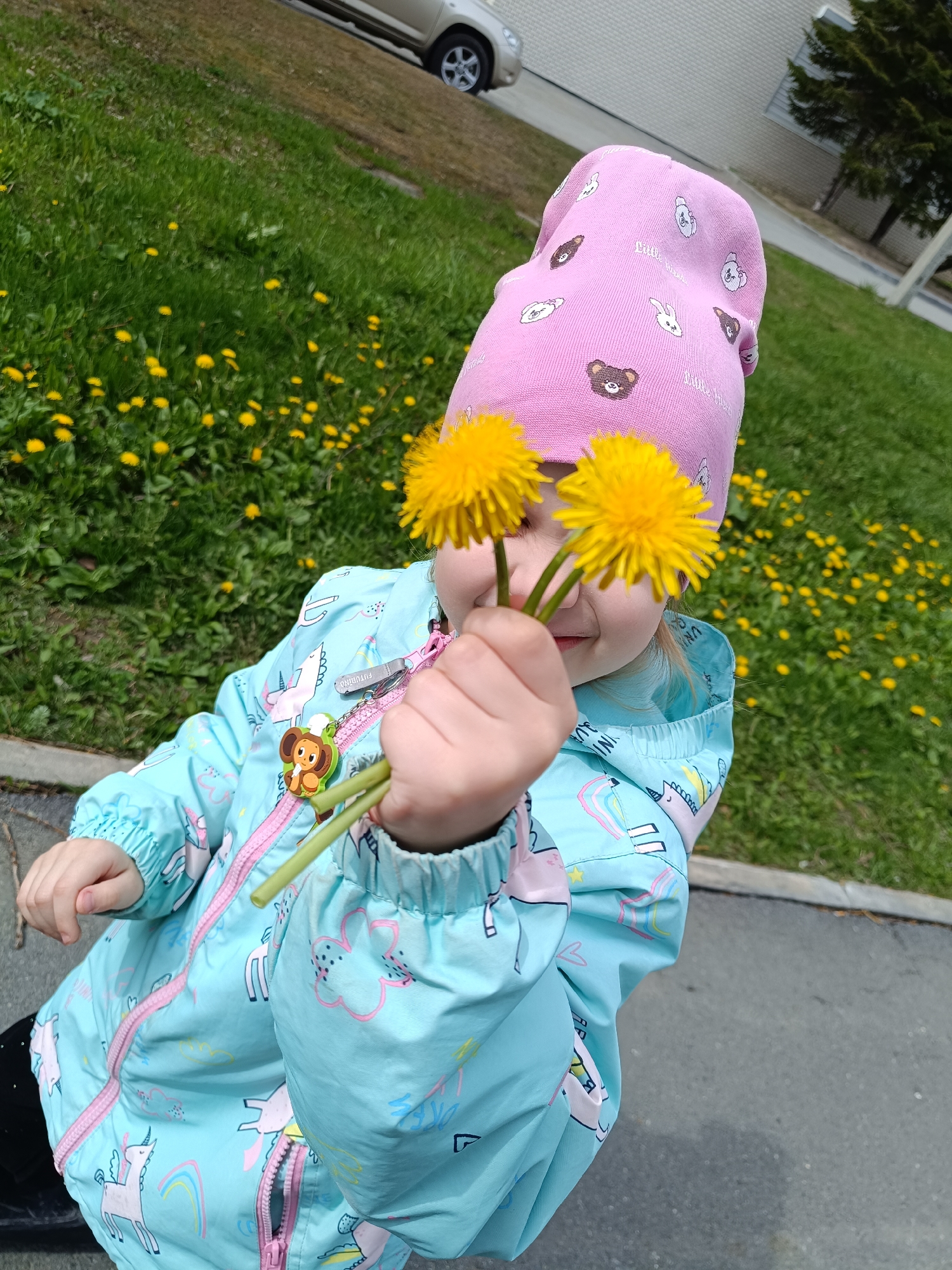 A young child is holding two yellow dandelions up to their face. The child is wearing a pink hat with cartoon bear and rabbit patterns and a light blue jacket with unicorns and pink zippers. The jacket zipper has a cartoon monkey charm on it. The child is standing on a paved surface with a grassy area behind them filled with yellow dandelions. A car and a building are visible in the background. The location is Tobolsk, Russia.