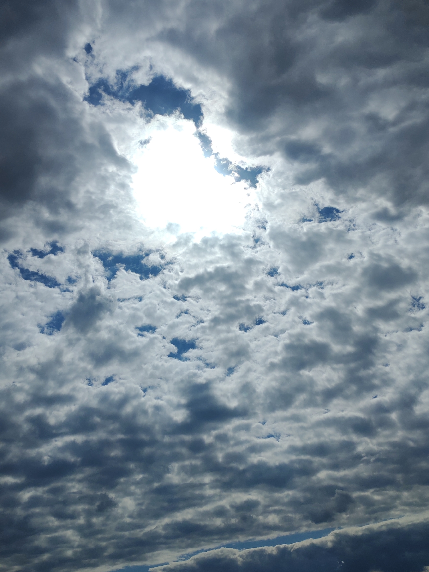 The image presents a detailed view of a sky filled with a complex array of cloud formations over Podolsk, Russia. A brilliant, intense light source, strongly suggesting the sun, dominates the upper central portion of the frame, partially obscured by thick, dark grey clouds. This creates a striking contrast, illuminating the edges of nearby clouds with a vivid white glow.
The sky is characterized by a mix of cloud types; denser, darker grey clouds occupy larger areas, while numerous lighter, fragmented white clouds are scattered throughout. Patches of vibrant blue sky are visible through various gaps in the cloud cover, particularly around the bright light source and in smaller openings across the lower and mid-sections of the frame. The overall cloud pattern suggests a combination of stratus and altocumulus formations, creating a textured and dynamic overhead canopy.
There are no people, objects, or visible text within the image. The strong, direct light indicates that the scene is set during daytime, likely late morning or early afternoon. The weather appears to be partly cloudy to overcast, with the sun intermittently breaking through the cloud cover. The image captures a purely natural, unmanipulated moment of the sky.