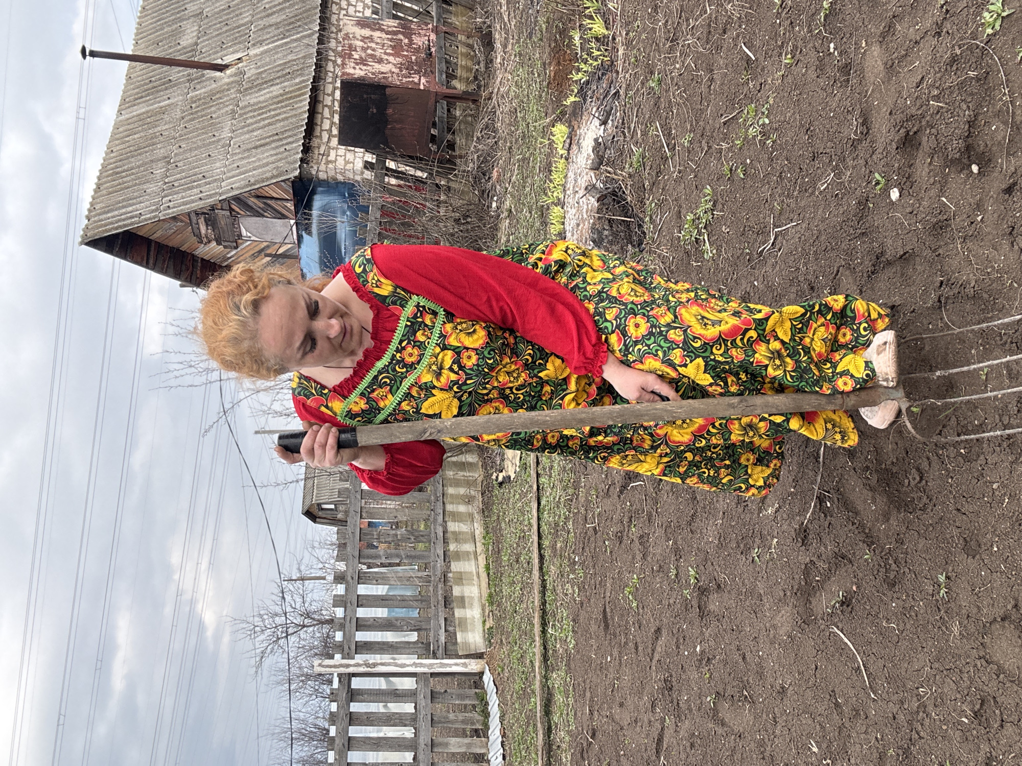 A woman is standing in a garden, using a pitchfork to turn over the soil. She is wearing a traditional Russian dress with red sleeves and a floral patterned skirt. Behind her is a weathered wooden fence and an old, dilapidated building with a corrugated roof. The ground is brown, freshly tilled earth. Power lines stretch across the cloudy sky above. The location is likely Chaikovsky, Russia.