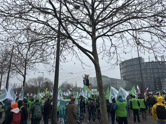 The image depicts a large outdoor gathering or demonstration in Strasbourg, France, directly in front of the European Parliament's Louise Weiss building and an adjacent glass structure. The scene is observed on an overcast day, characterized by diffused lighting and leafless deciduous trees, suggesting a winter season.
A dense crowd of individuals occupies the foreground and midground. A significant portion of the participants are wearing bright green vests or jackets. Many are holding flags, predominantly green and white, with some displaying the "CGT" union logo and other symbols. A Polish national flag is also visible within the crowd. In the mid-distance on the left, an elevated structure, possibly a stage or a large display, is visible with a banner. Utility poles and overhead wires traverse the scene. A bicycle is present near a tree trunk amidst the crowd.