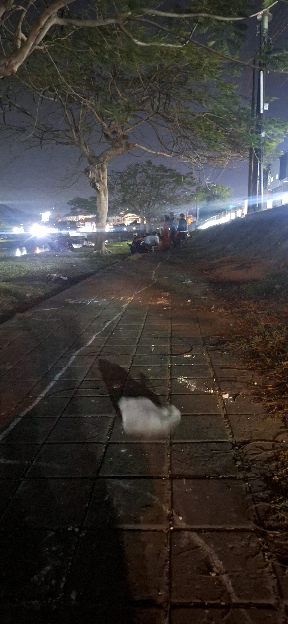 The image depicts a paved walkway in Denpasar, Indonesia, at night. A large tree with sparse foliage is situated to the left, its branches extending over the scene. Beyond the walkway, a grassy slope leads down to a body of water, with several individuals seated or lying on the grass, some appearing to be picnicking or relaxing. In the background, buildings are illuminated, and there are bright lights reflecting on the water. A pole with lights is visible on the right side of the frame. The foreground of the walkway shows a blurry object, possibly trash or debris, and a distinct shadow cast by an unseen object. The lighting is artificial, creating a somewhat dim and hazy atmosphere.