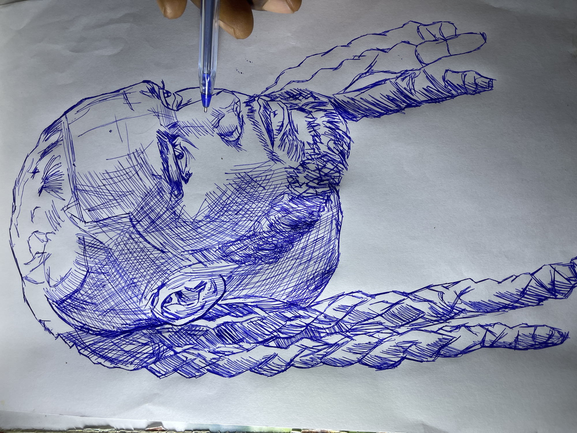 This is a close-up, medium shot, eye-level, portrait-style photograph of a blue ink pen sketch on white paper. The sketch depicts the upper body and head of a person from the shoulders up, facing to the right. The person has braided hair that falls down both sides of their head. Their face is detailed with shading using parallel and cross-hatched lines, indicating features such as eyes, nose, mouth, and beard. A human hand, with visible fingers, is shown in the upper right corner, holding a blue ink pen which is touching the sketch near the person's nose, suggesting the drawing is in progress. The background is plain white paper with some texture visible. There is no identifiable location in Jos, Nigeria present in this image.