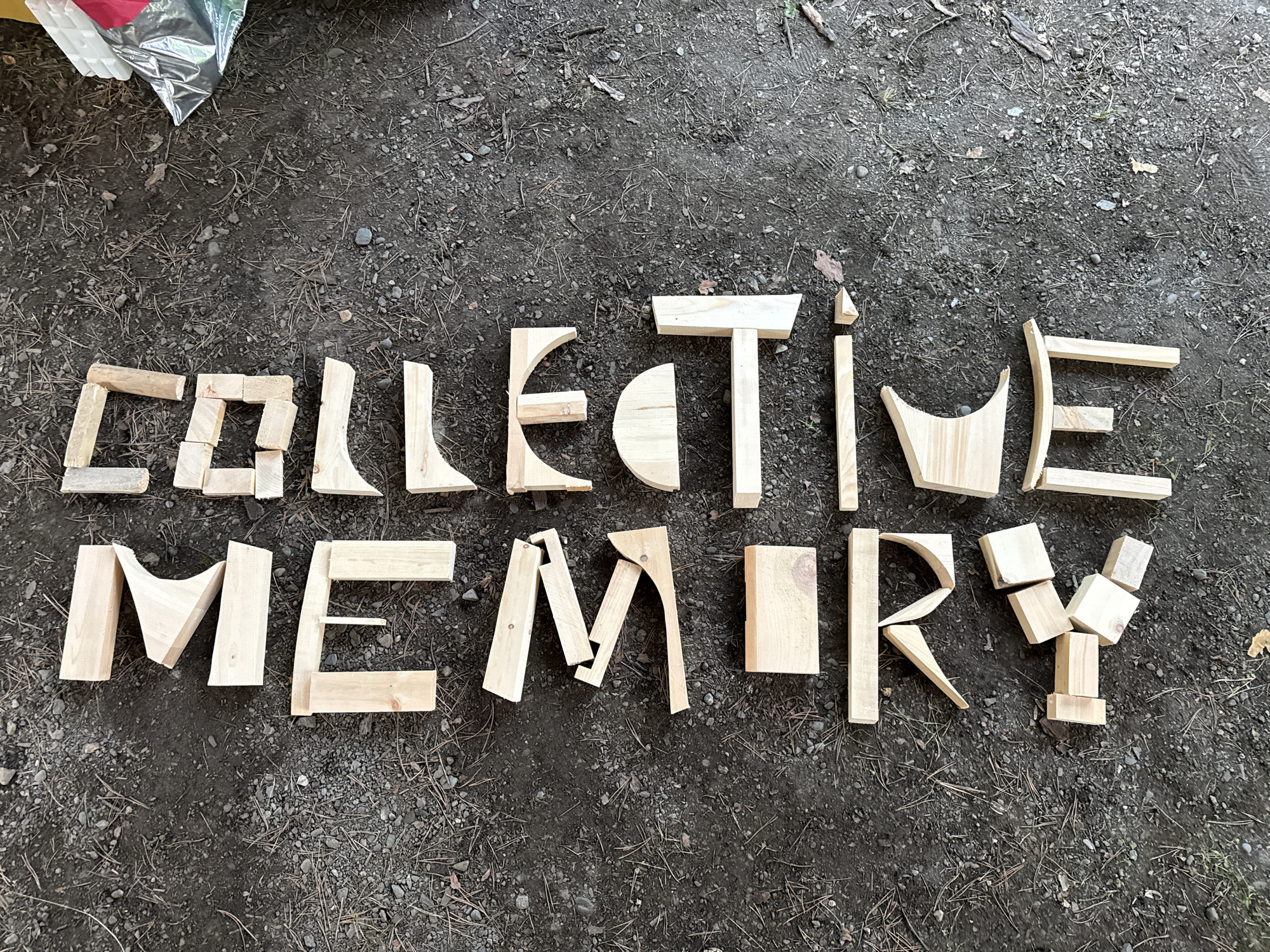 The image shows wooden blocks arranged on the ground to form the words "M E W A R T E D I C E". The blocks are of various shapes and sizes, including rectangular prisms, arches, and curved pieces. The ground is covered with dark soil, small stones, and pine needles, suggesting an outdoor, possibly wooded, setting. There are no people visible in the image. The lighting indicates it is daytime. The location is not specified in the image or its surrounding data, and therefore cannot be determined to be Cheposh, Russia.