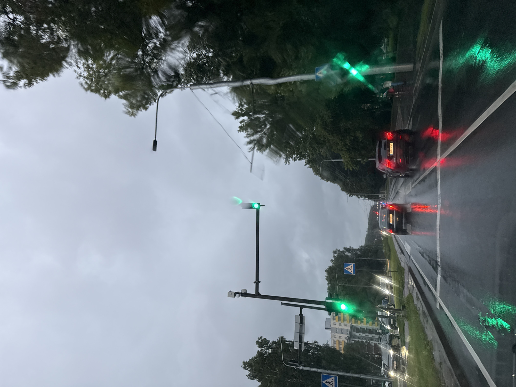 The image captures a rainy day scene on a street in Tallinn, Estonia. A traffic light is visible, displaying a green signal. Several cars are on the wet road, their brake lights reflecting on the surface. Pedestrian crossing signs are present on the sides of the road. Trees line the street, and buildings can be seen in the background. The sky is overcast, indicating cloudy weather.