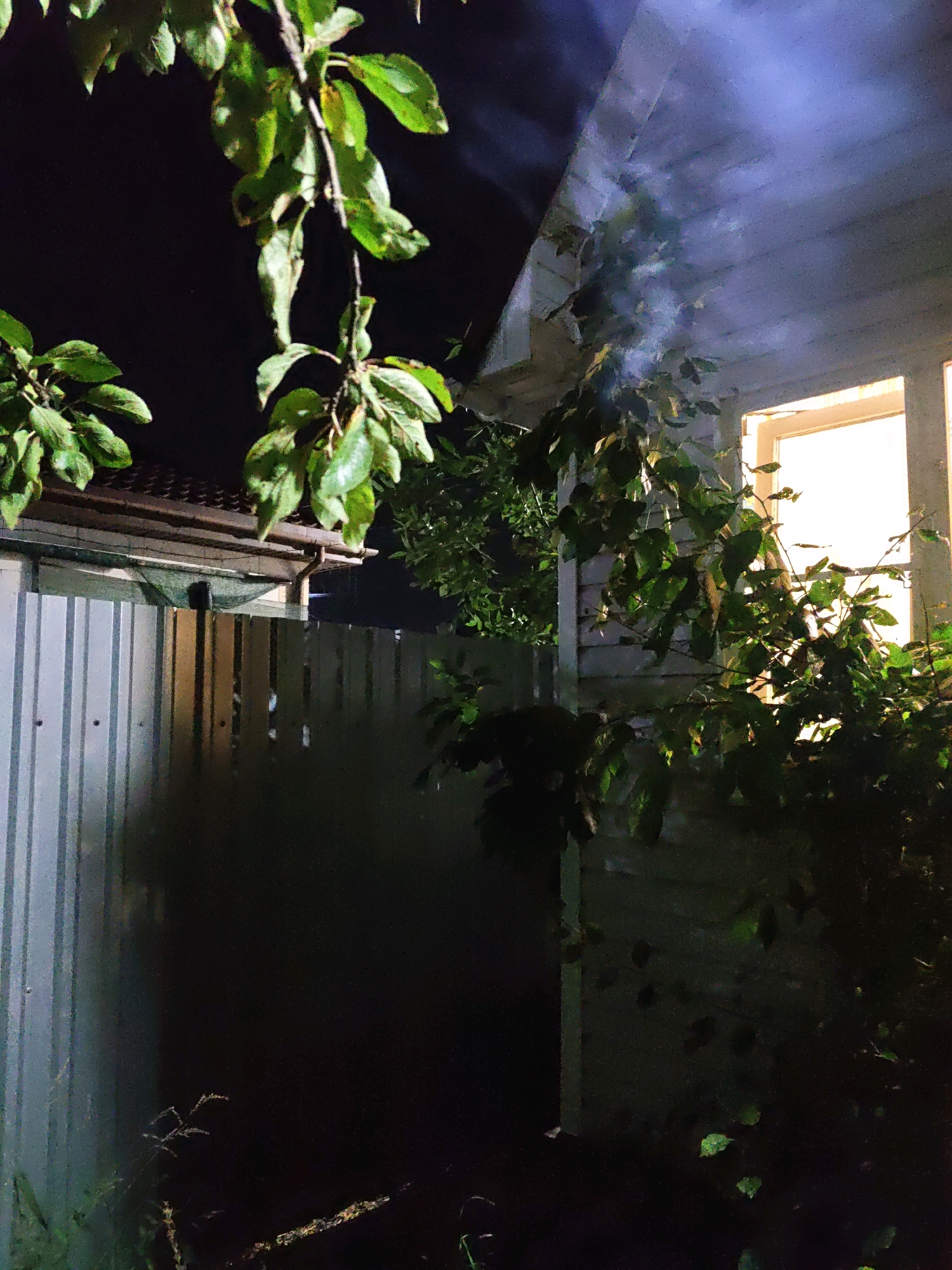 The image depicts a nighttime scene in Rostov-on-Don, Russia, showing a backyard or yard area. In the foreground, leafy branches of trees hang down, some illuminated by an unseen light source. To the left, a corrugated metal fence runs horizontally, dividing the property. Behind the fence, the roof of a building is visible, with a gutter and downspout. To the right, a portion of a building's exterior wall, likely wooden siding, is present. A window on this building is brightly lit from within, suggesting occupancy. A wisp of smoke or mist is visible near the roofline and branches, adding an atmospheric element. The overall impression is one of a quiet, possibly residential area at night.