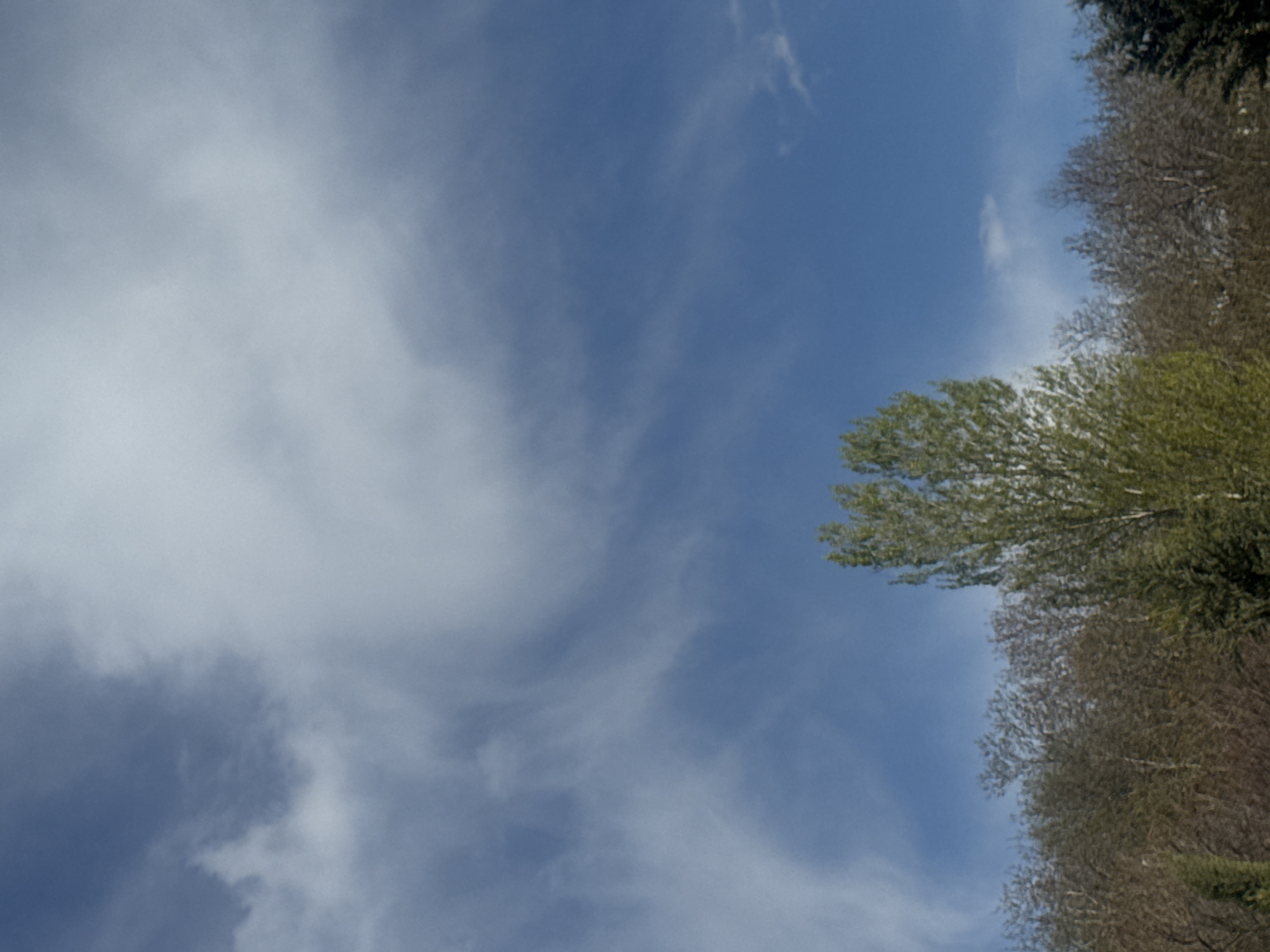The image shows a sky with blue hues and wispy white clouds. Trees are visible on the right side of the frame, with varying shades of green foliage. The location is not specified, and it is impossible to infer the location of the city of Tbilisi, Georgia, from the given scene.
