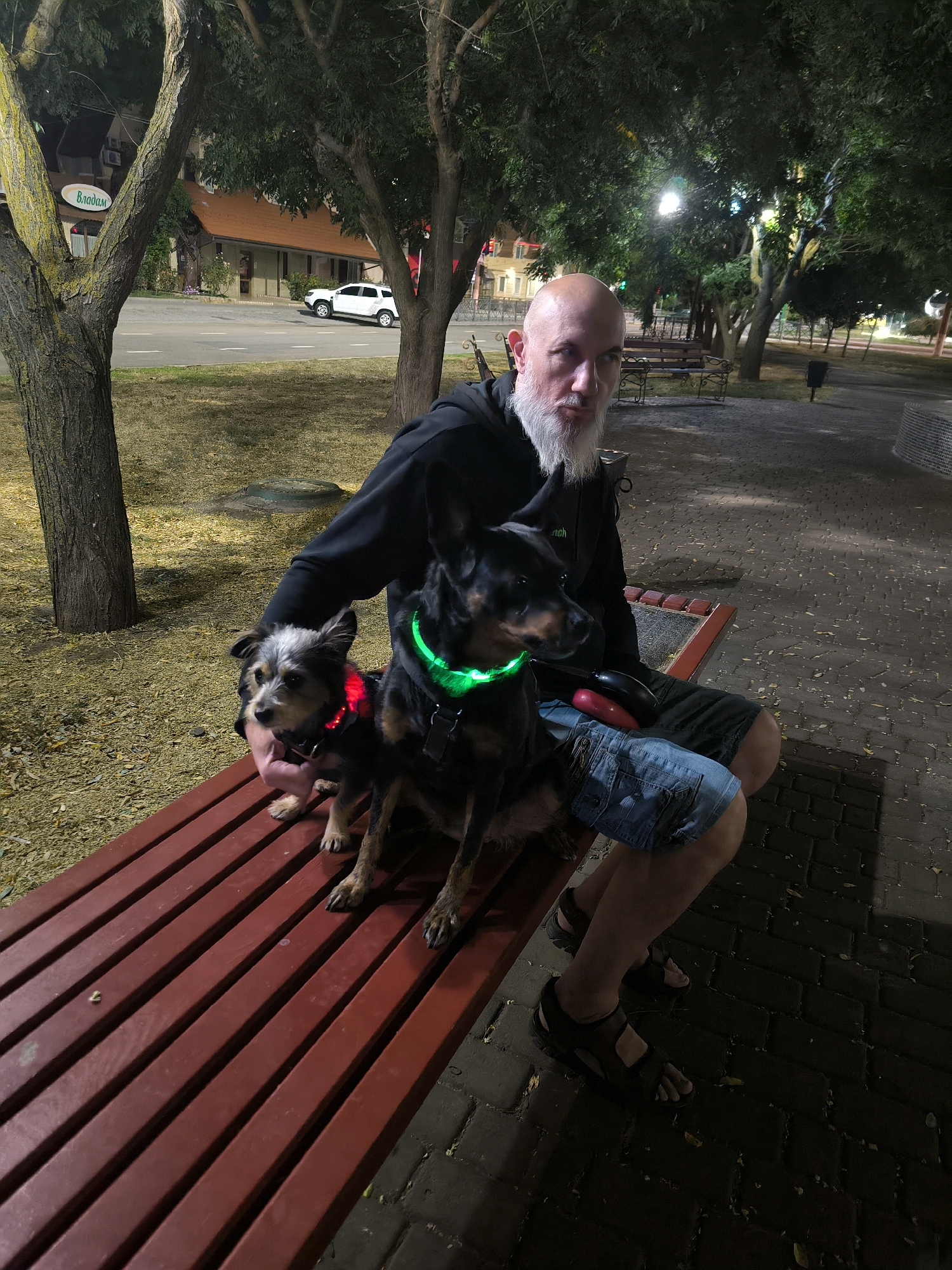A man with a bald head and a white beard, wearing a black hoodie and denim shorts, sits on a red park bench at night with two dogs. One dog, a smaller terrier mix with a red collar, sits on his lap. The other dog, a larger black and tan breed with a green collar, sits beside him on the bench. The man appears to be looking at the camera, and the dogs are also looking in different directions. The background shows trees, a street with a white SUV, and buildings, suggesting an urban park setting. The lighting is dim, indicating it is nighttime. The presence of a sign with "Владам" in Cyrillic suggests the location is in Ukraine, possibly Mykolaiv given the context.