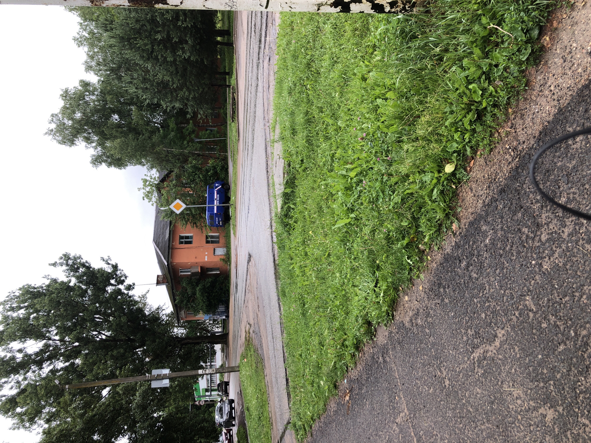 The image depicts a street scene in Safonovo, Russia, on an overcast day. In the foreground, a section of asphalt road curves to the left, bordered by a strip of overgrown grass. A white utility pole with a small sign is visible on the left side of the road. Beyond the road, an orange building with a dark roof and several windows stands amidst trees. In front of the building, a blue van with white lettering, likely a police vehicle, is parked. The road surface shows signs of wear and tear with patches of unevenness. The surrounding environment is characterized by lush green foliage and mature trees.