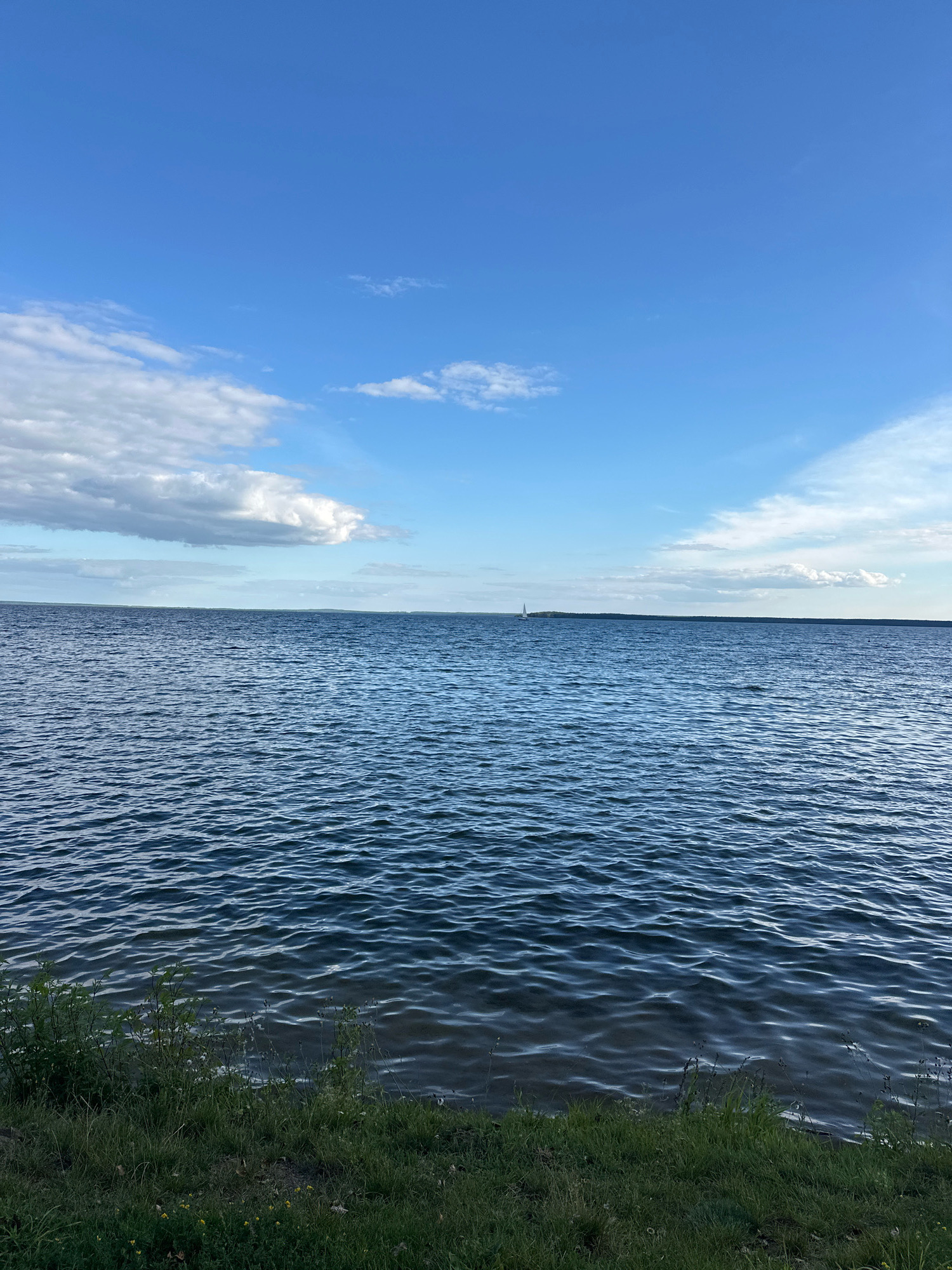 The image depicts a serene natural landscape on a clear day, with a vast expanse of deep blue water dominating the foreground and midground. Gentle ripples on the water's surface indicate a slight breeze. The horizon line, where the water meets the sky, is a distant, unbroken stretch of land, appearing as a dark, low-lying silhouette. Above the water, the sky is a vibrant blue, dotted with scattered white clouds, some wispy and others more substantial, casting subtle shadows on the water. In the far distance, a tiny white sailboat can be seen, a solitary figure against the immensity of the water and sky. The foreground features a strip of green grass and vegetation, suggesting a shoreline or embankment. The overall impression is one of tranquility and natural beauty, characteristic of the area around Нарацкі сельскі Савет, Belarus, which is known for its numerous lakes and natural reserves.