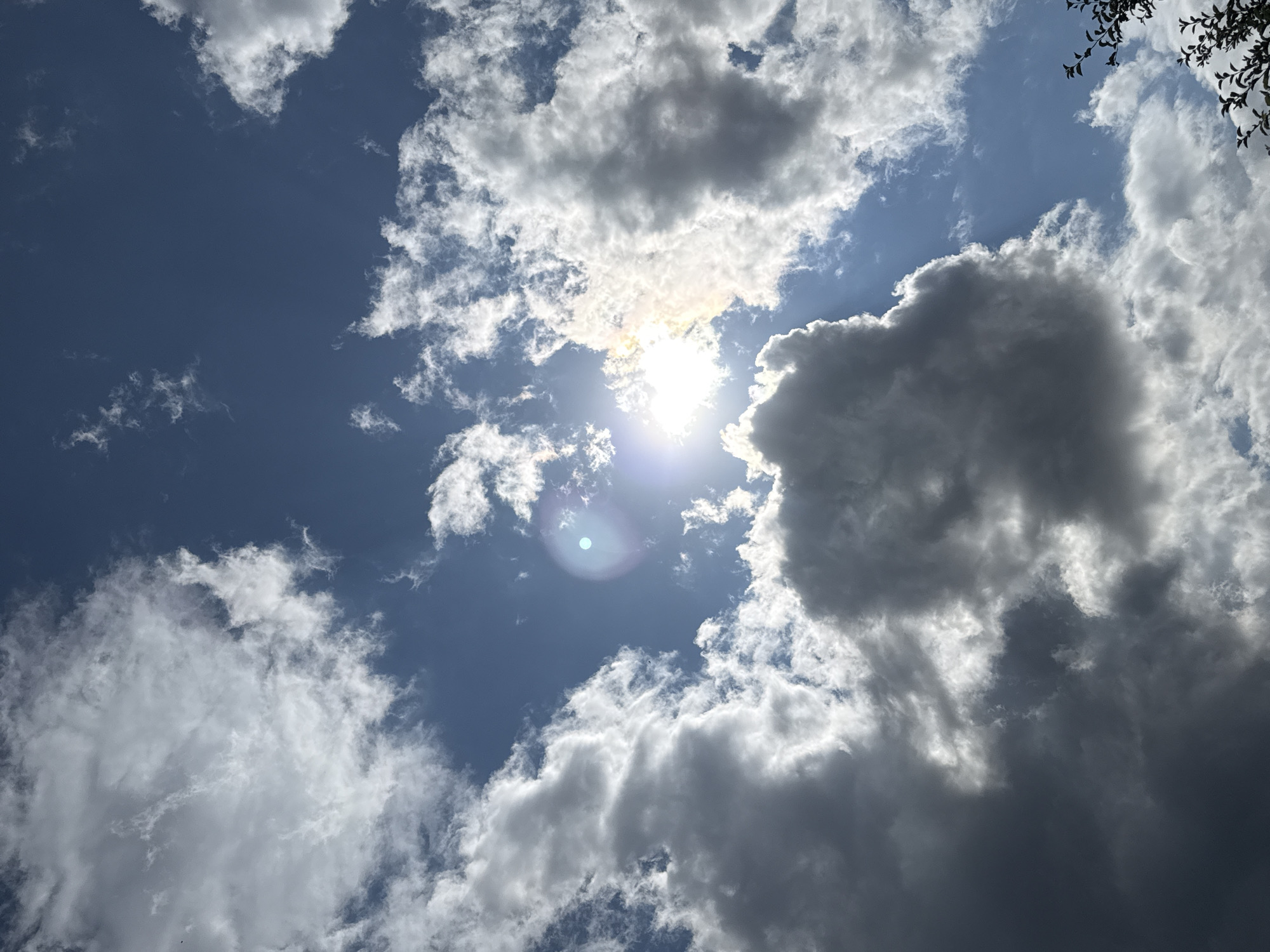 The image shows a close-up, low-angle view of a partially cloudy sky. The sun is visible, shining brightly through some of the clouds, causing lens flare. Some clouds are dark and appear to be storm clouds, while others are bright white and fluffy. The sky is a deep blue. In the lower right corner, a dark silhouette of tree branches with leaves is visible. The scene is outdoors, with no discernible urban features.