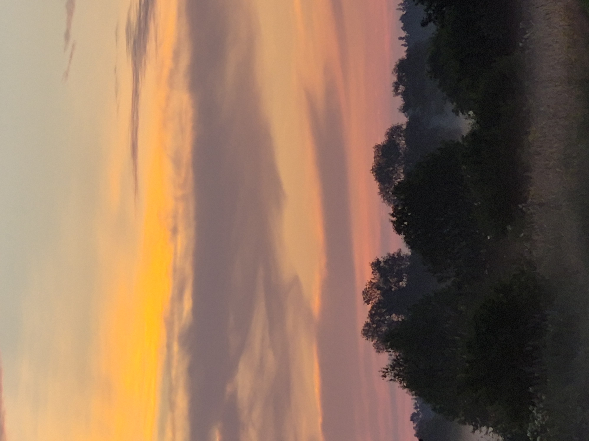 The image depicts a serene natural landscape at dusk in Sooblase, Estonia. The sky is a canvas of soft, blended colors, transitioning from a pale blue at the top to vibrant shades of orange, yellow, and pink as it nears the horizon. Wispy clouds, tinged with the colors of the sunset, stretch across the sky.
Below the sky, a dark silhouette of trees forms a dense treeline across the middle ground. The trees are varied in shape and size, with some appearing taller and more distinct than others. A subtle mist or fog hovers above the ground in front of the treeline, softening the transition between the vegetation and the sky.
In the foreground, a field of grass and other low-lying vegetation is visible, also partially obscured by the mist. The overall impression is one of tranquility and the gentle fading of daylight in a rural Estonian setting. There are no people, animals, or discernible man-made structures in the image.