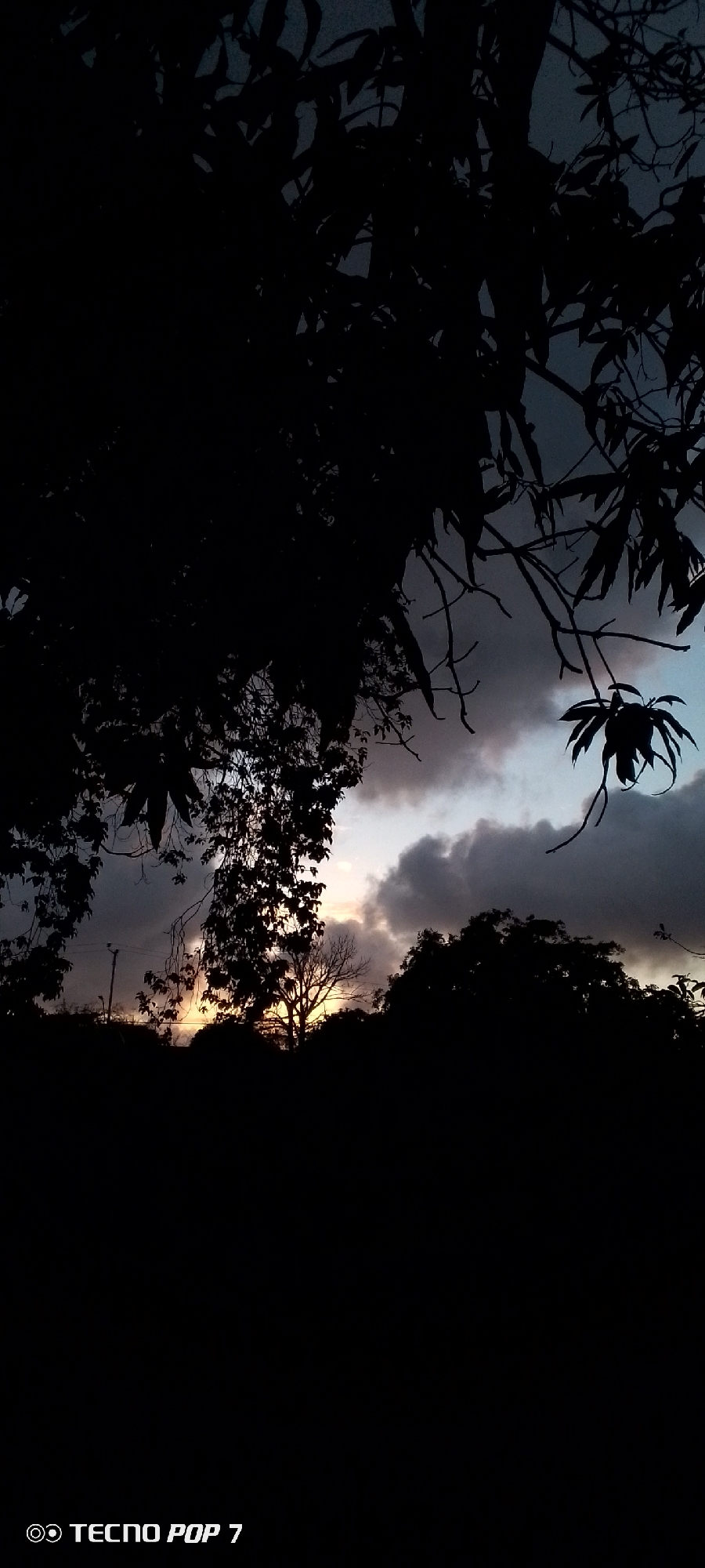 The image captures a silhouetted view of trees against a twilight sky, possibly in Altagracia, Venezuela. Dark foliage dominates the foreground, with branches and leaves obscuring much of the scene. Through the gaps in the trees, a dimly lit sky is visible, with scattered clouds tinged with the last light of the sun. In the mid-ground, a bare tree stands starkly against the sky, and further back, the dark outlines of more trees and foliage create a dense landscape. A utility pole is faintly visible on the left side. The bottom of the image displays a watermark indicating "TECNO POP 7." The overall impression is one of a serene, perhaps rural, twilight setting.
