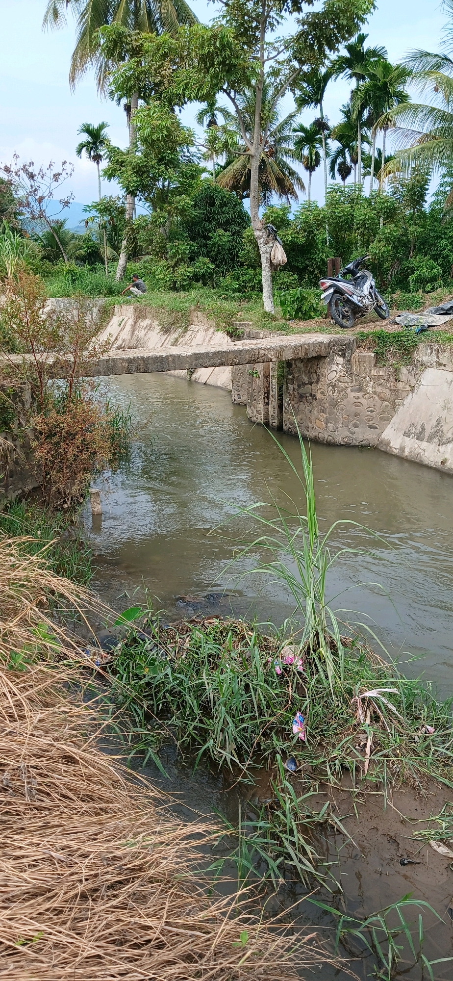A low-angle, medium shot captures a concrete bridge spanning a murky canal. The bridge, made of rough-hewn stones and concrete, shows signs of age and wear. Below, the water flows sluggishly, its surface reflecting the overcast sky and the dense, green foliage that lines the canal banks. Various types of trees, including palm trees, dominate the landscape, interspersed with smaller bushes and tall grasses. A motorcycle is parked on the right bank of the canal, near the bridge. In the distance, a person is seated on the left bank, facing the canal. The overall scene suggests a rural or semi-rural setting in Glumpangpayong, Indonesia, with a focus on the canal and its surrounding environment.