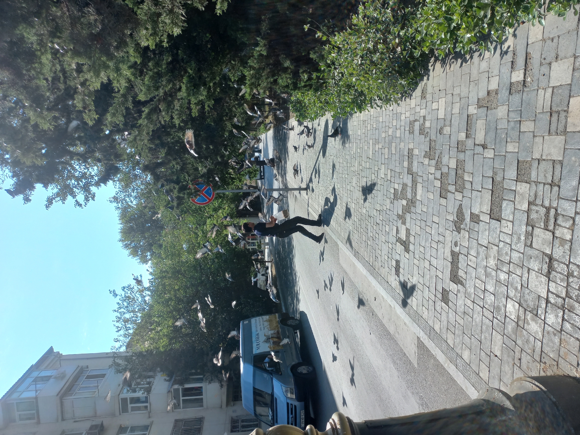 A man is feeding pigeons on a sidewalk in Baku, Azerbaijan. The man is wearing a dark blue shirt and dark pants. He is holding a white bag and scattering food for the pigeons. The sidewalk is paved with gray cobblestones and is lined with green bushes. There is a street next to the sidewalk with a blue van parked on it. The van has text in Azerbaijani on its side. A traffic sign is visible in the background. The sky is clear and blue, and the sun is shining.