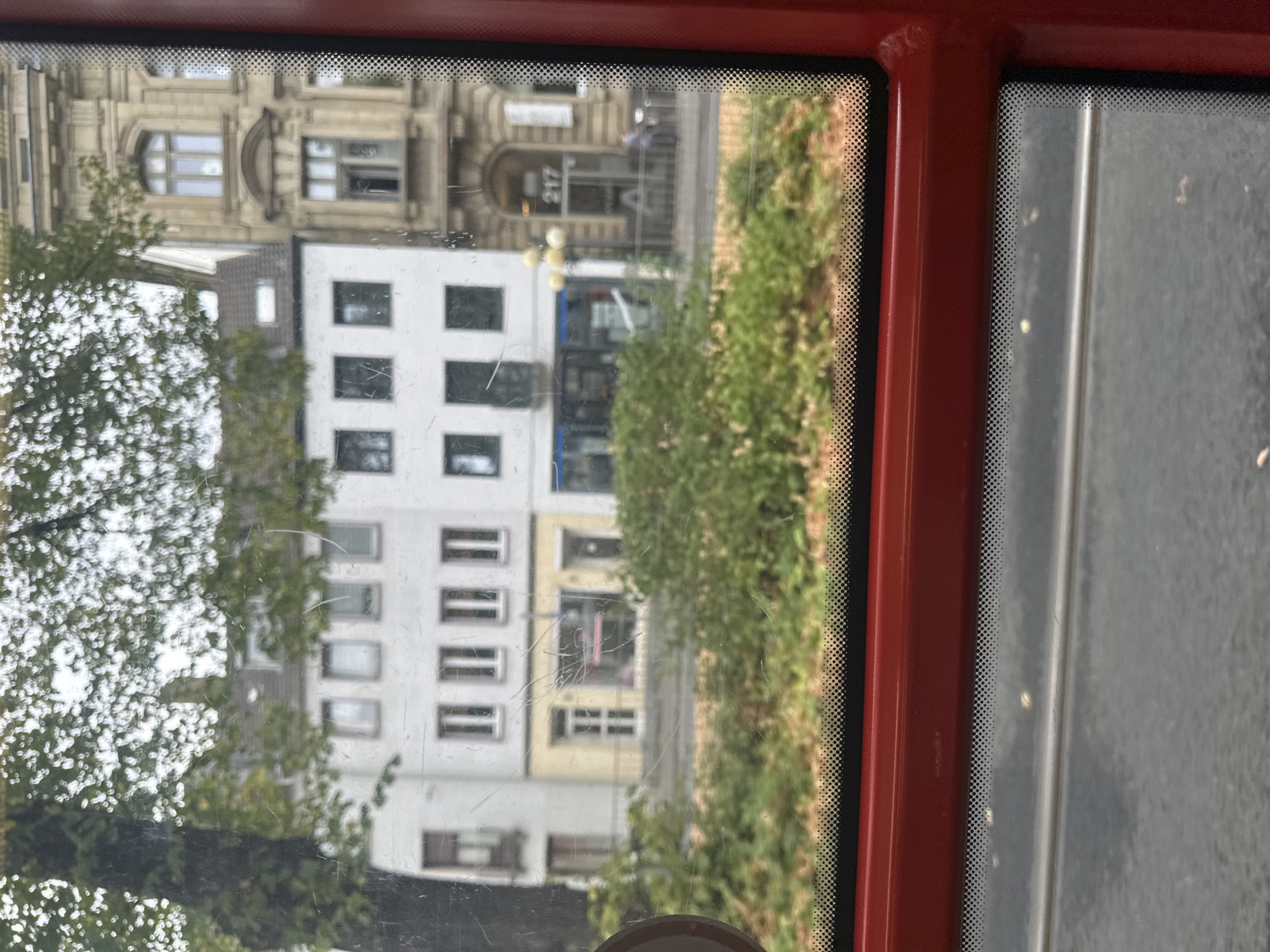 The image is a view through a smudged window, likely from a vehicle, showing a street scene in Krefeld, Germany. In the foreground, a red frame surrounds the window. Beyond the glass, there are trees with green foliage and some bare branches. Behind the trees, several buildings are visible. On the left, a white building with multiple stories features rows of windows and some shops at street level. To its right, a larger, ornate tan building stands, with arched doorways and windows, and the number "217" above one of the entrances. A streetlamp with multiple globes is situated between the two buildings. In the middle ground, a dense, green bush or hedge runs horizontally across the scene. The background consists of a street with a gray asphalt surface.