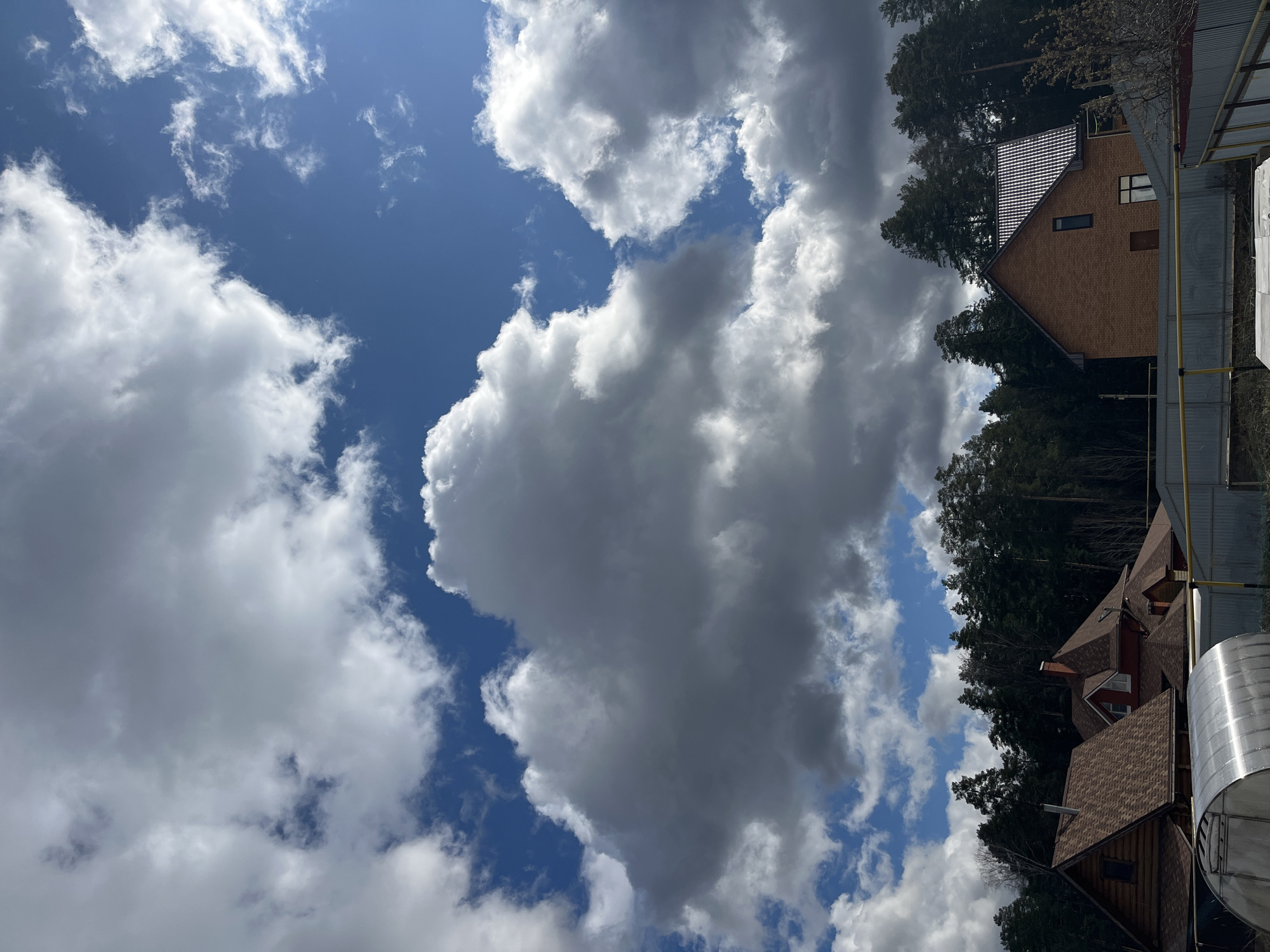 The image depicts a daytime scene in Chaikovsky, Russia, featuring a dynamic sky and a forested landscape with several buildings. The upper portion of the frame is dominated by a bright blue sky interspersed with large, fluffy white and grey cumulus clouds. Sunlight illuminates the tops of the clouds, creating shadows and depth.
In the lower half of the image, a dense forest of tall evergreen trees forms a dark green backdrop. Several residential-style buildings are visible among and in front of these trees. To the right, a house with a brown brick facade and a dark-tiled or metal roof stands out, featuring a rectangular window and what appears to be a dark entrance or panel. Further to the left, another building with a reddish-brown shingled roof and lighter siding is partially visible. Closer to the foreground on the right, a large, reflective cylindrical metallic tank or container is present, next to a grey corrugated metal fence or wall. Yellow metal pipes or posts are also noticeable near the fence line, possibly indicating utility infrastructure or supports.
The lighting suggests a clear, sunny day, likely late morning or early afternoon, with distinct shadows cast by the clouds and buildings. There is no visible human activity or discernible text in the image. The overall impression is one of a serene, perhaps rural or suburban, natural setting.