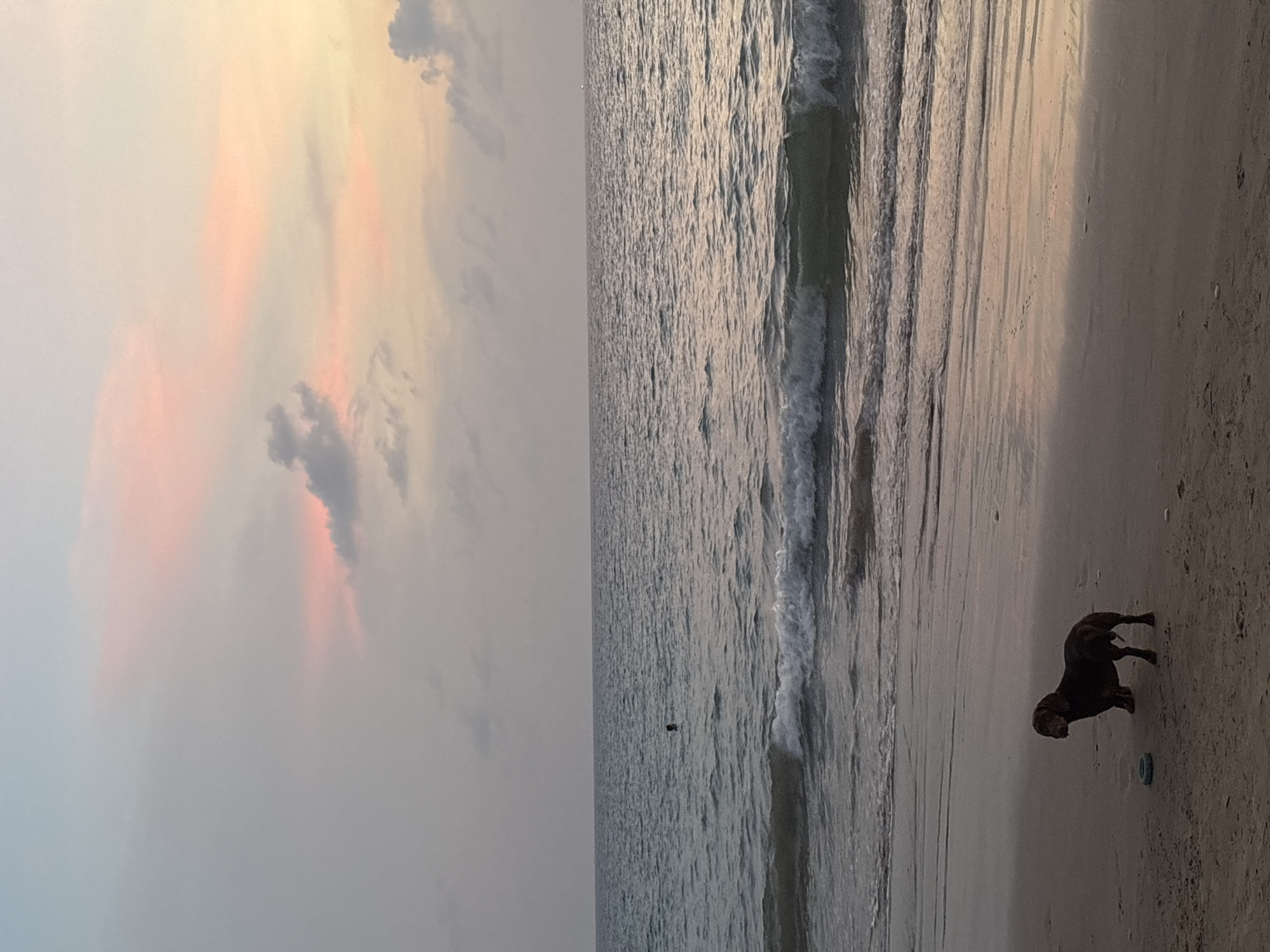 This image captures a tranquil beach scene at either sunrise or sunset, characterized by soft, diffused lighting. The sky, occupying the upper portion of the frame, displays delicate pastel shades of pink and yellow blended with light grey and blue, indicating the early or late hours of the day. Scattered clouds are visible against this colorful backdrop.
The ocean, taking up the mid-ground, appears calm with gentle waves lapping at the shore. The water surface reflects the subtle light, creating a shimmering effect. The beach, made of light-colored sand, extends into the foreground, showing wet patches where the waves have receded.
A dark-colored dog, resembling a Labrador, stands on the wet sand in the lower right portion of the image. It appears to be looking towards a small, light-colored object, possibly a toy or frisbee, resting near its front paws. In the distant water, a very small, dark, indistinct speck is visible, though its nature cannot be confirmed.
The overall mood of the image is peaceful and serene. The location context indicates this scene is in Choeng Thale, Thailand. No text is visible within the media file.