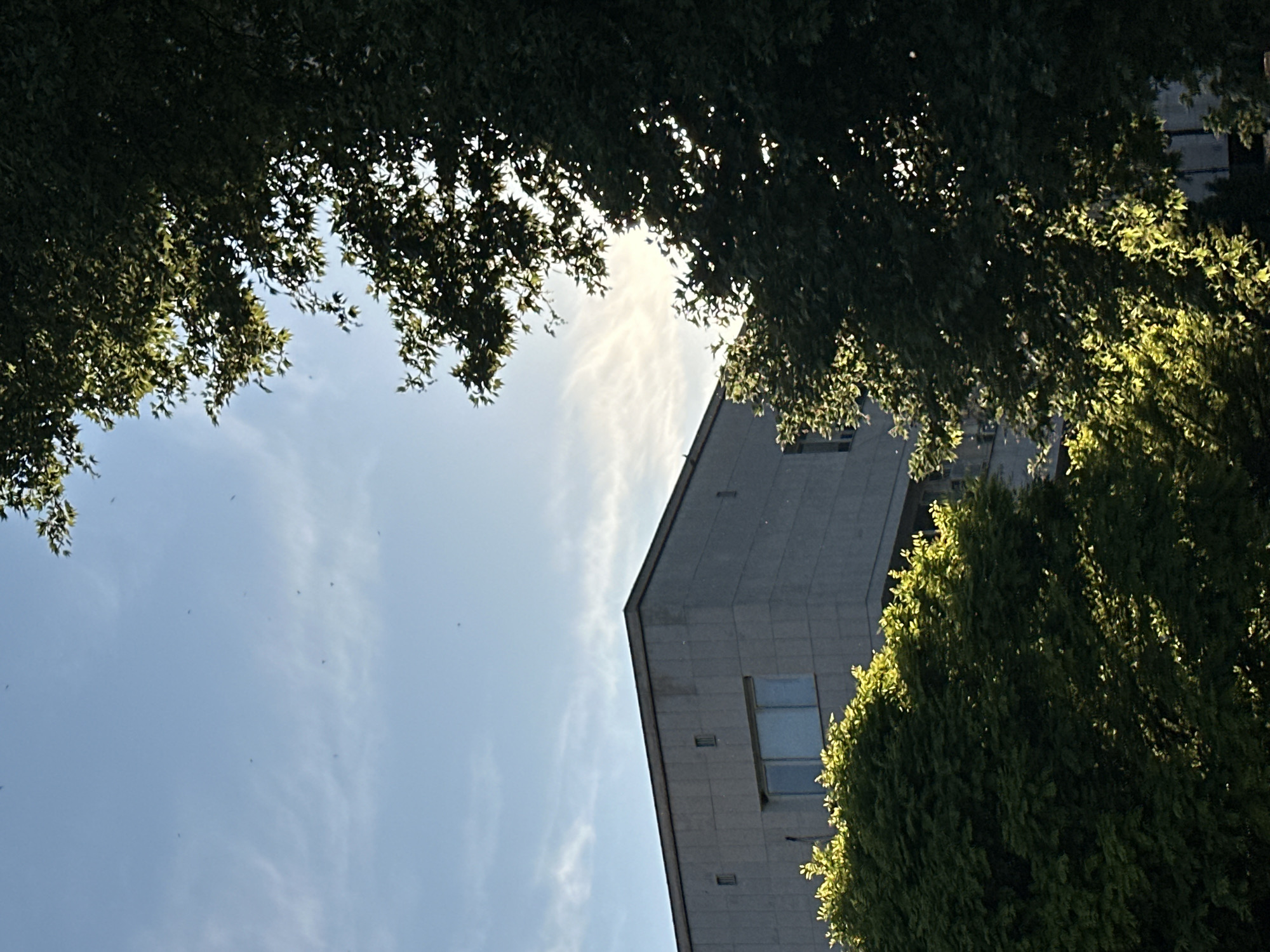 The image captures a low-angle view looking up towards a gray stone building, framed by green foliage. The building has a minimalist design with visible windows and is positioned slightly off-center to the right. The sky, a pale blue color with light, wispy clouds, occupies the left side of the frame. Trees with dense green leaves fill the top and right edges of the image, partially obscuring the building and sky. The scene is outdoors, presumably in an urban or suburban area with mature trees and modern architecture. The city of Lovech, Bulgaria, is not evident in the image.