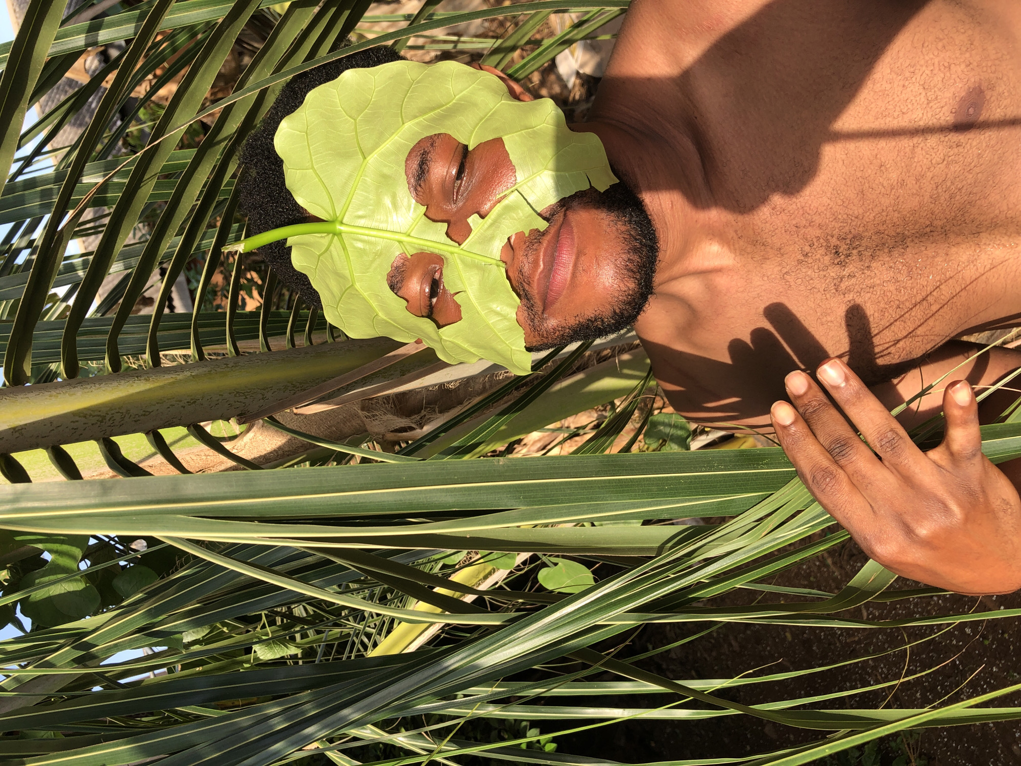 A person lies on their back amidst palm fronds in an outdoor location in Unknown, Unknown. The person's upper body is visible, with their chest bare. A large, green leaf with holes cut out for the eyes covers part of their face. The person's eyes are visible through the holes in the leaf. Their right hand rests on the palm fronds. The lighting suggests it is daytime.